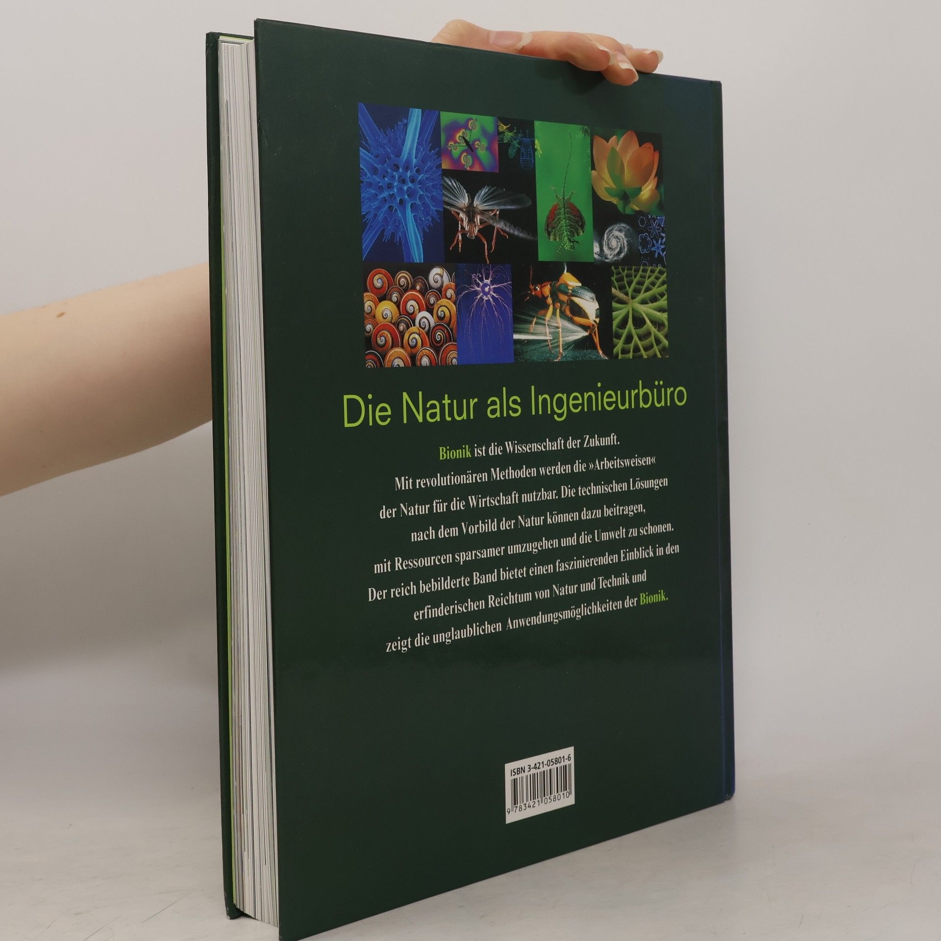 Werner Nachtigall Das große Buch der Bionik