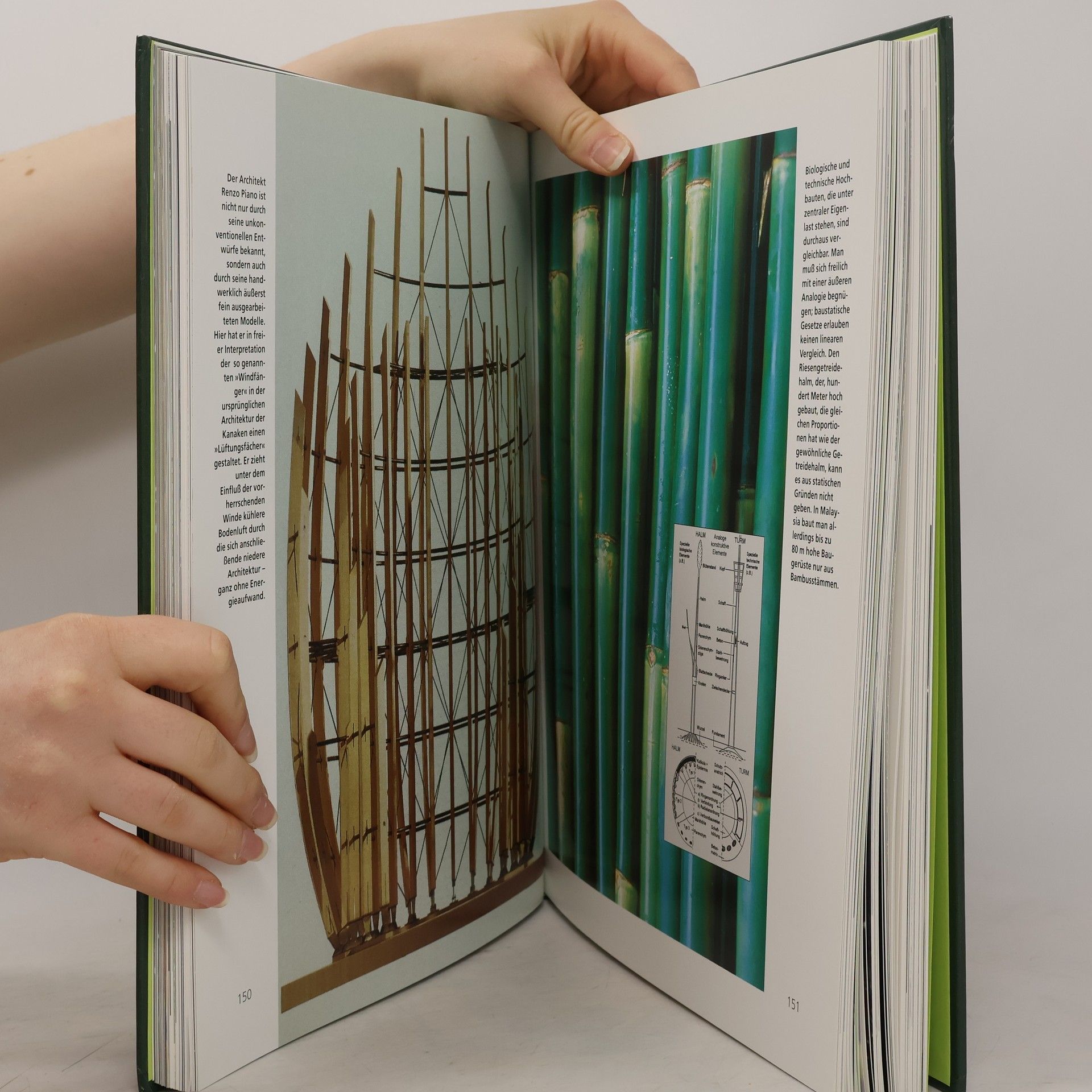 Werner Nachtigall Das große Buch der Bionik