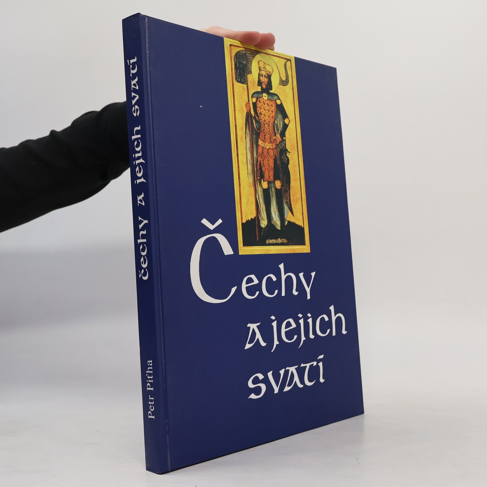 Petr Pit̕ha Čechy a jejich svatí