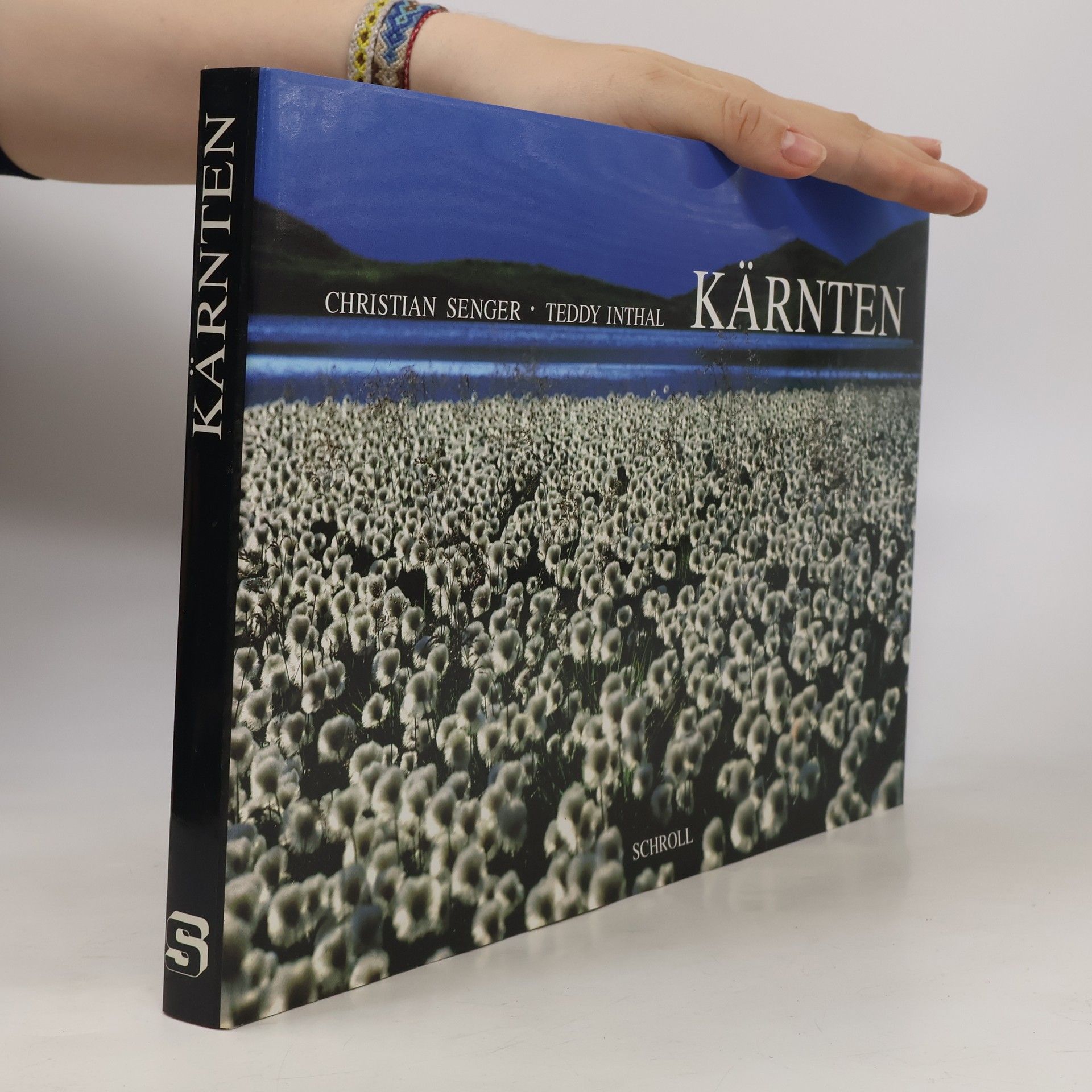 Kolektiv autorů Kärnten