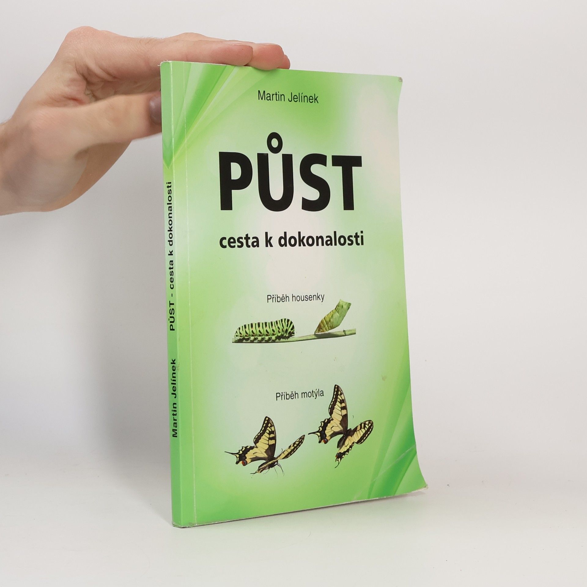 Jelínek Martin Půst - cesta k dokonalosti