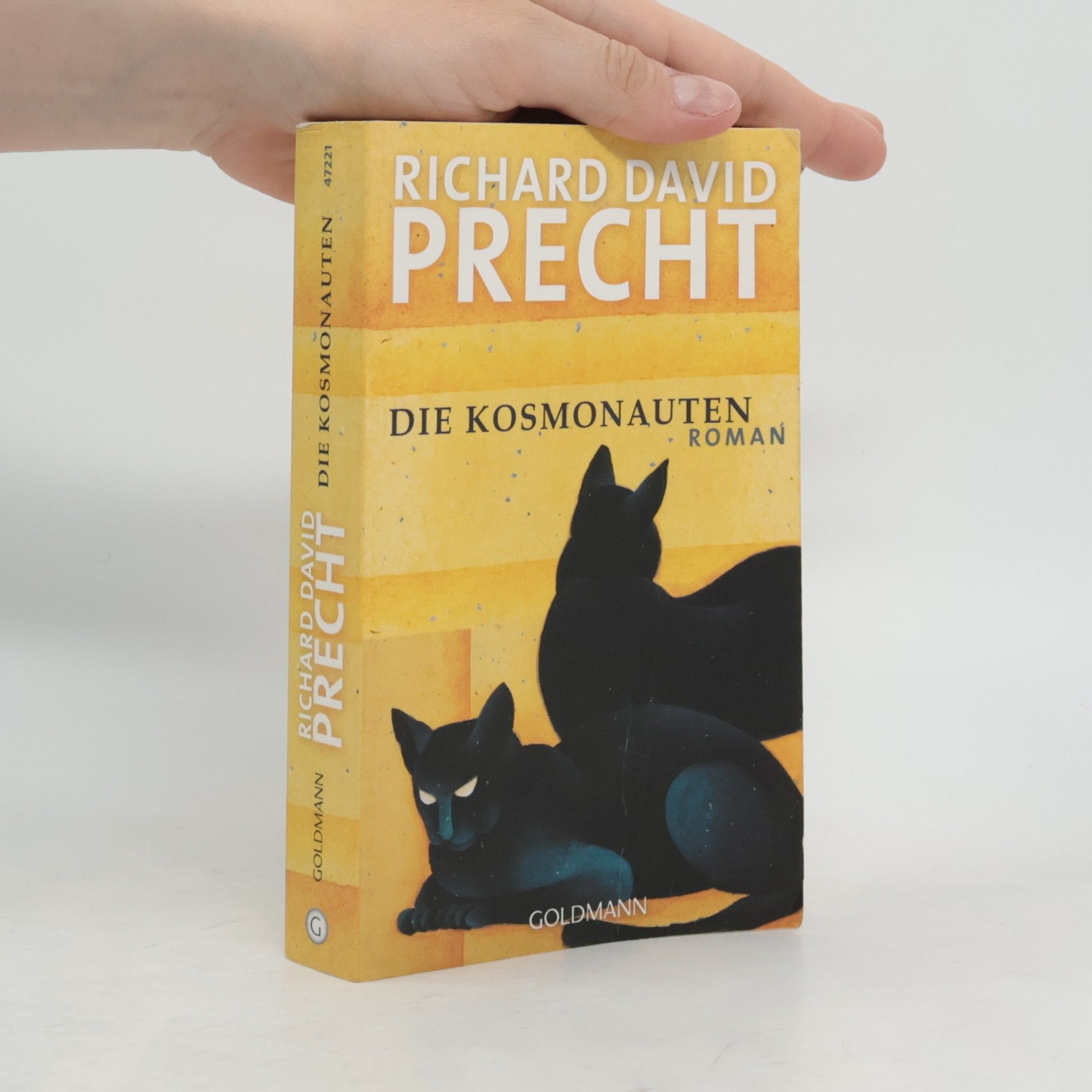 Richard David Precht Die Kosmonauten