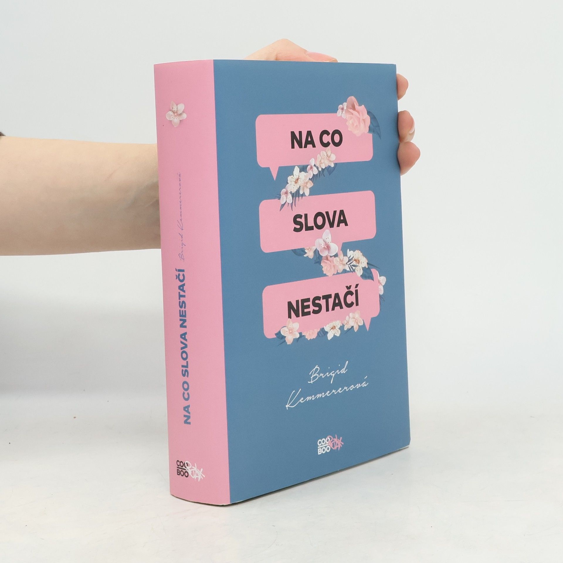 Brigid Kemmerer Na co slova nestačí