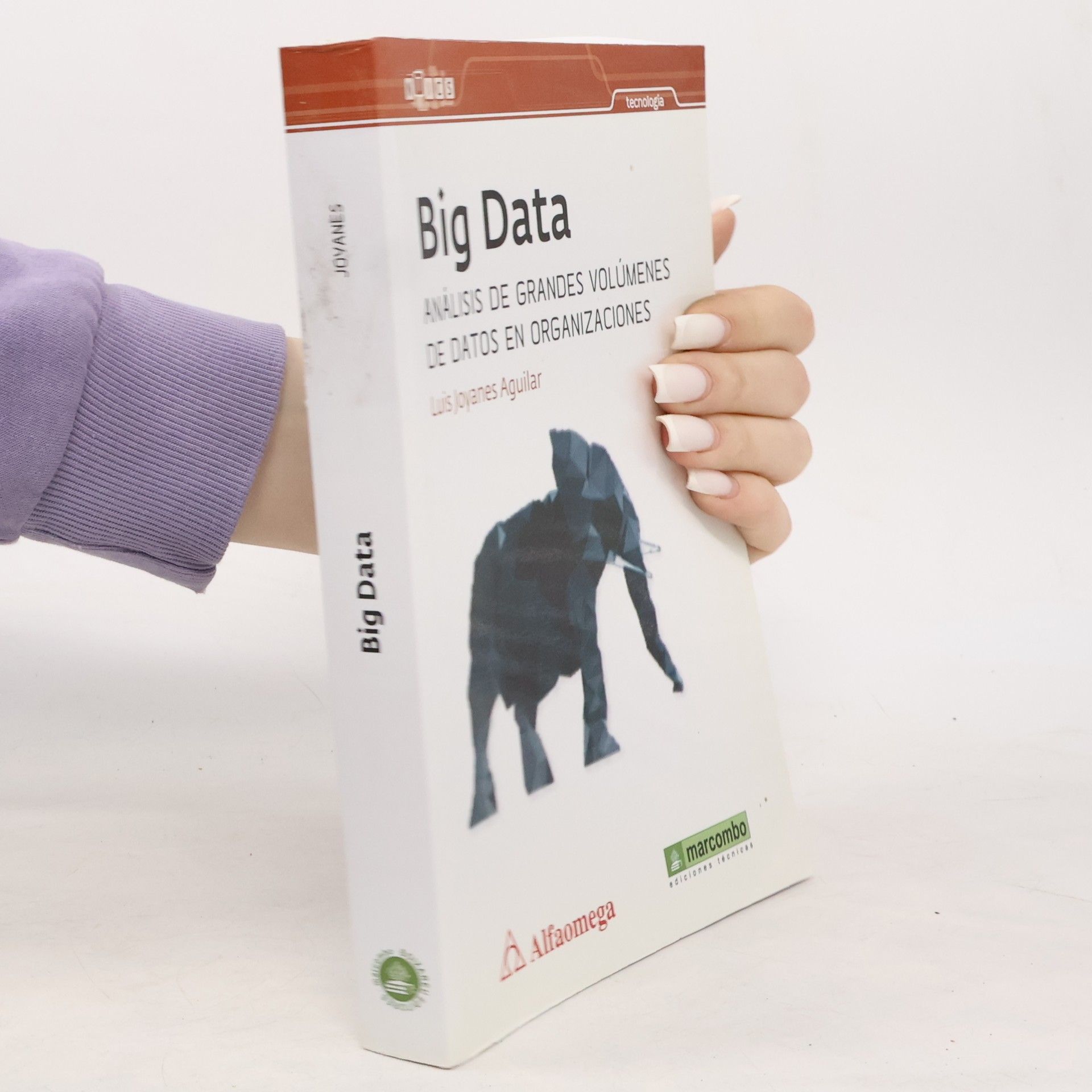 Luis Joyanes Aguilar Big Data