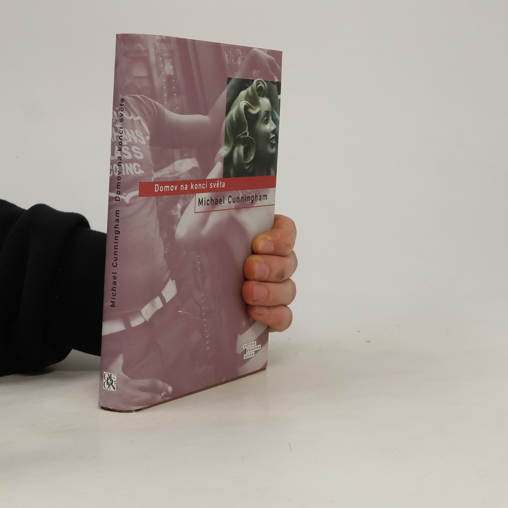Michael Cunningham Domov na konci světa