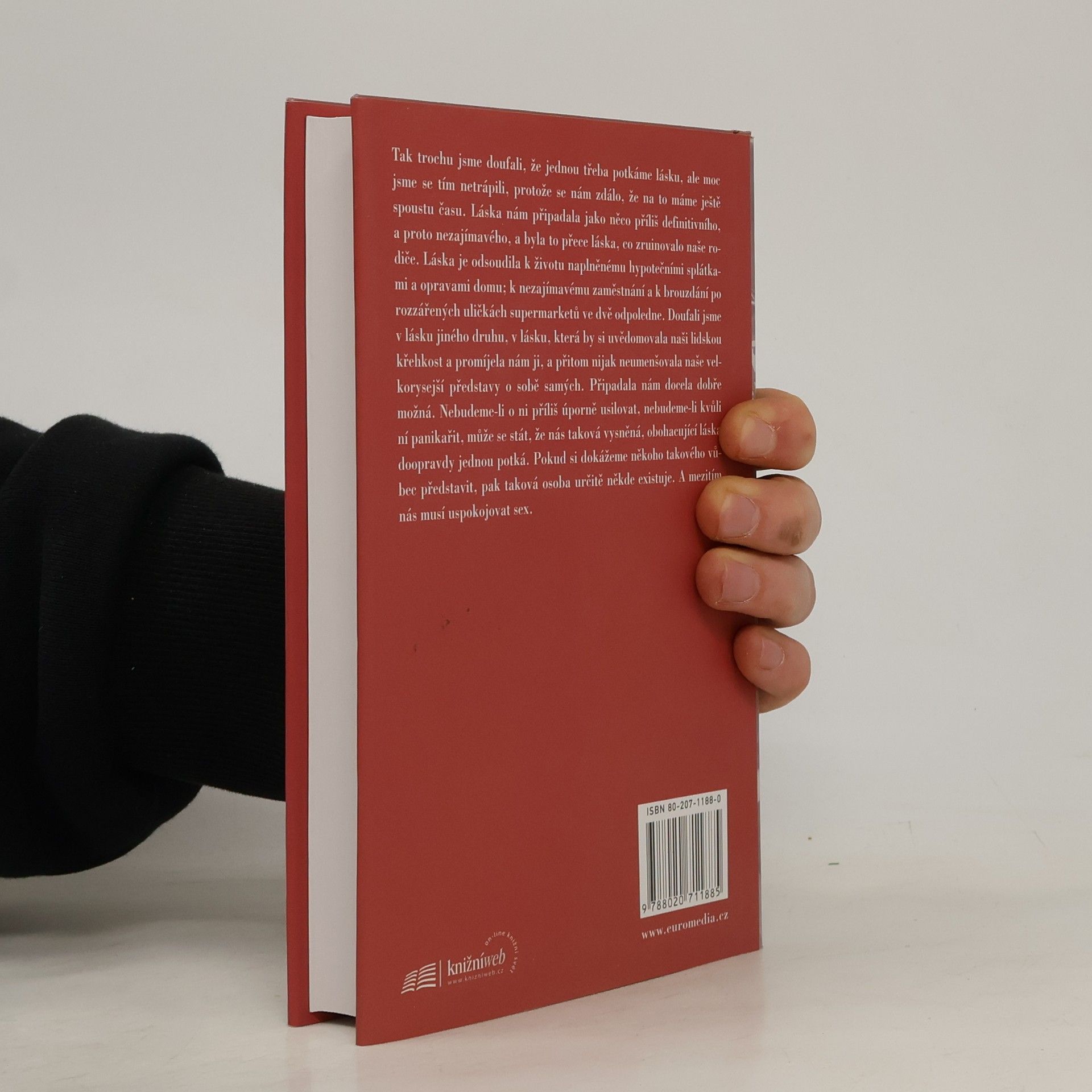 Michael Cunningham Domov na konci světa