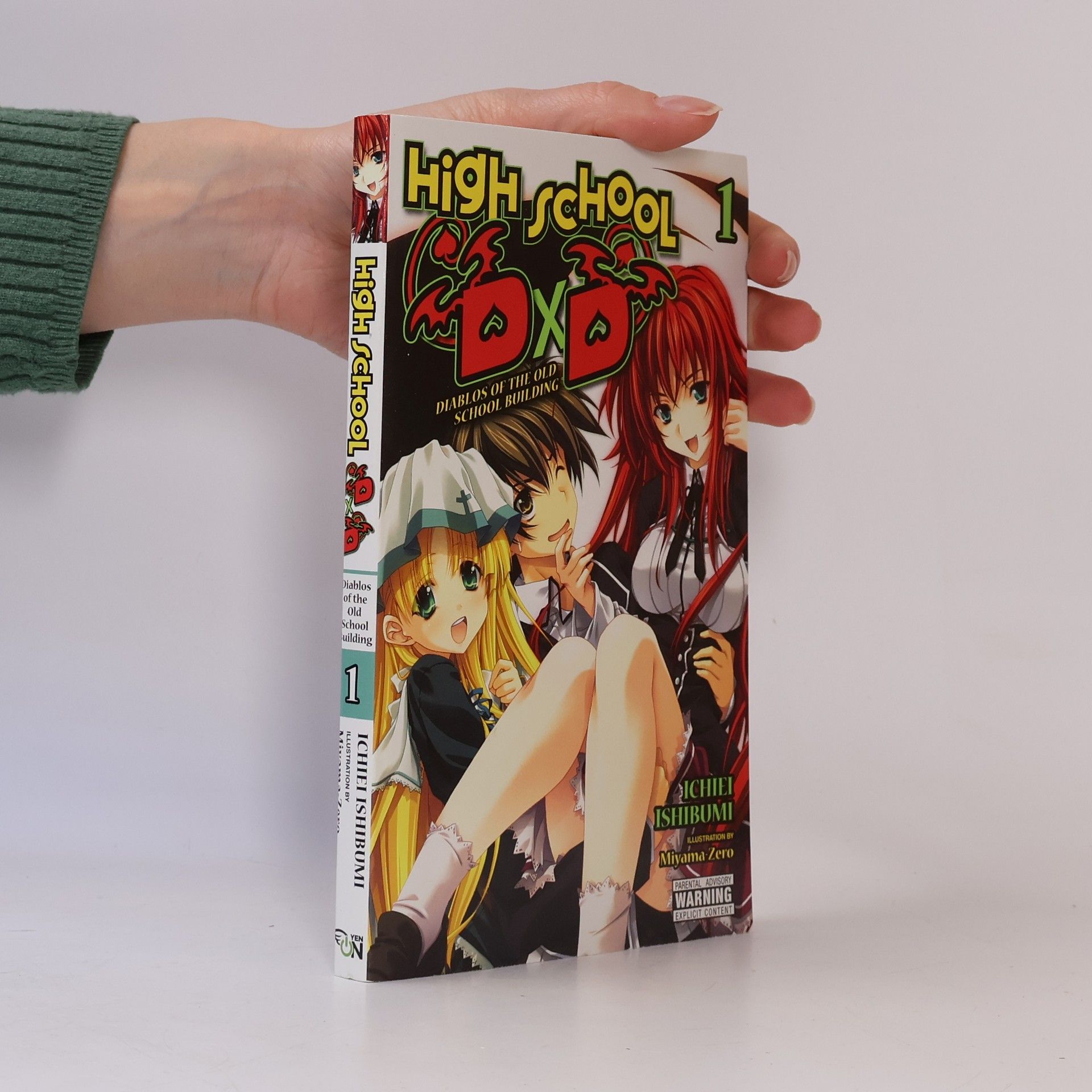 Ichiei Ishibumi High School DxD, Vol. 1 (light novel)