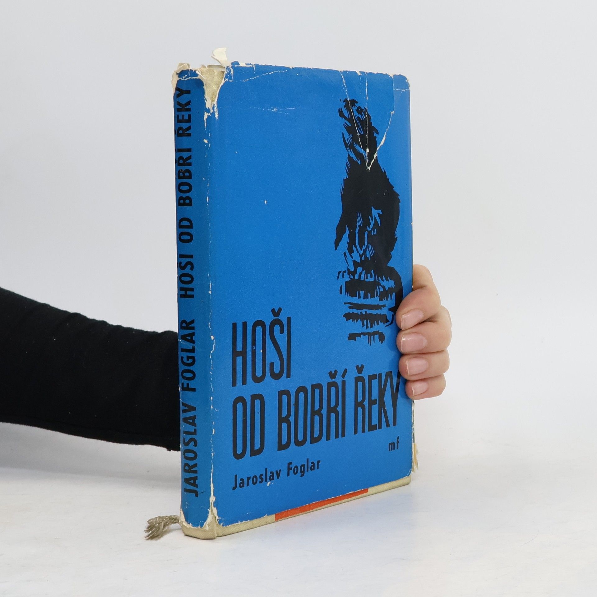Jaroslav Foglar Hoši od Bobří řeky