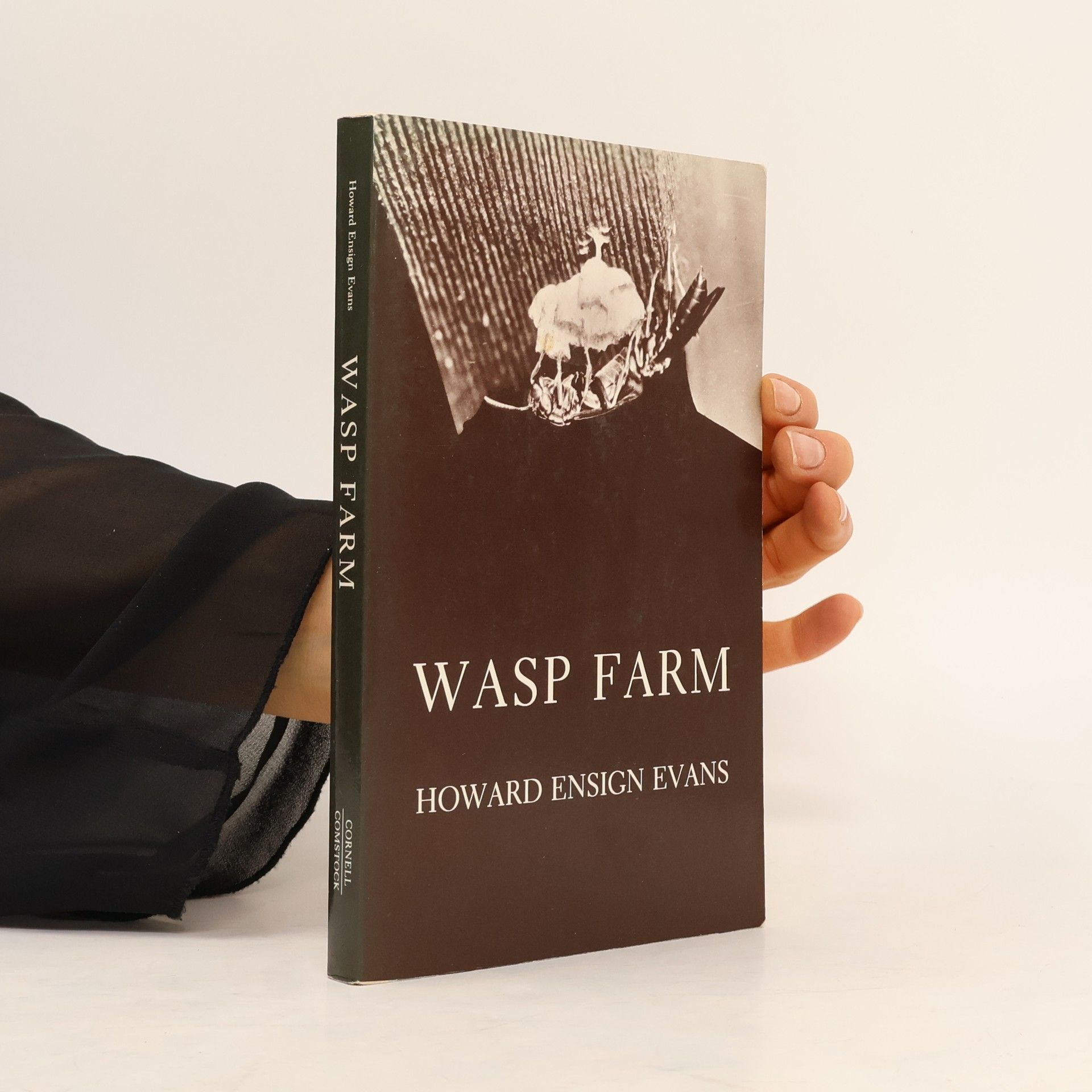 Wasp Farm