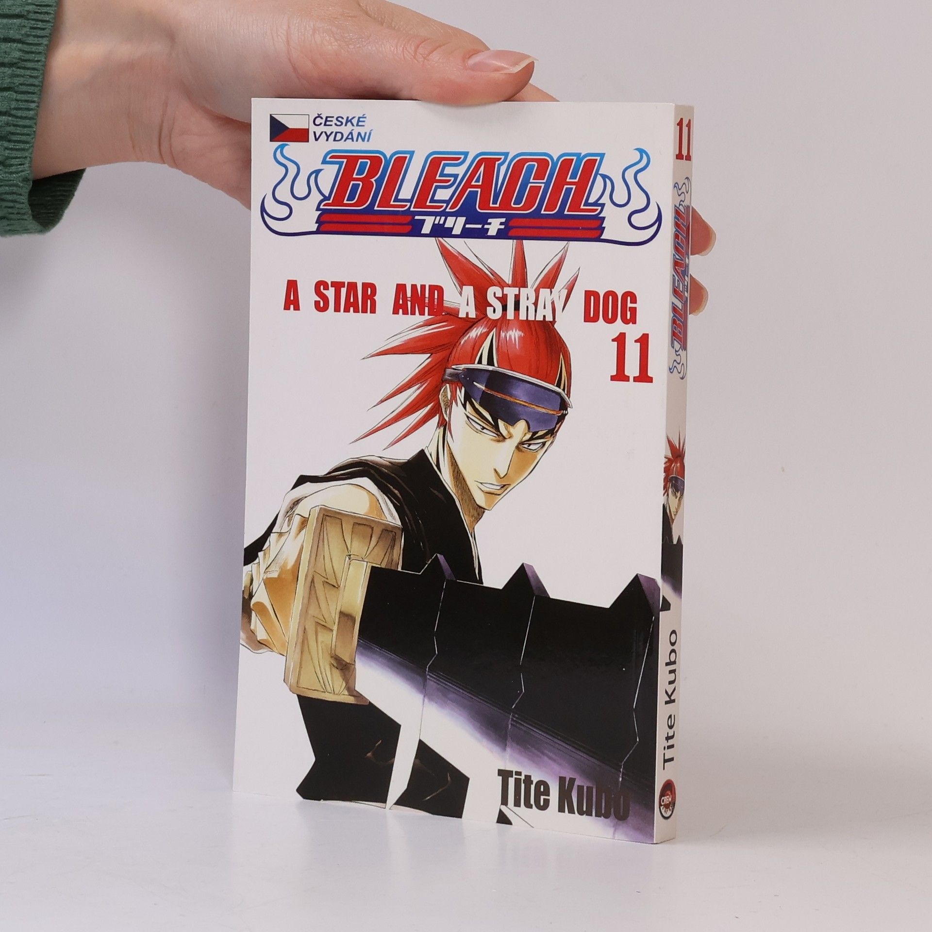 Tite Kubo Bleach 11: A star and a stray dog