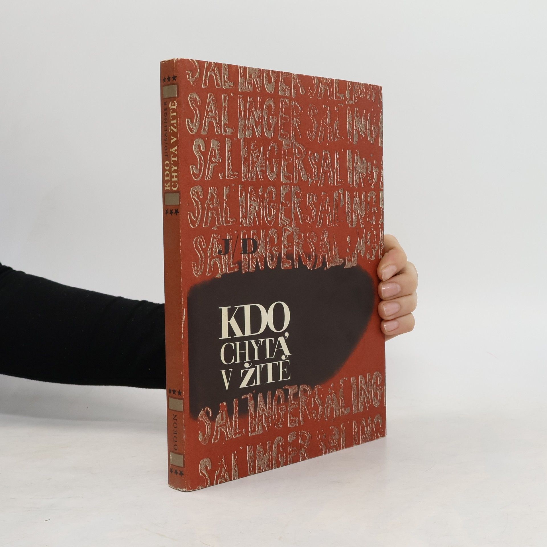 Jerome David Salinger Kdo chytá v žitě