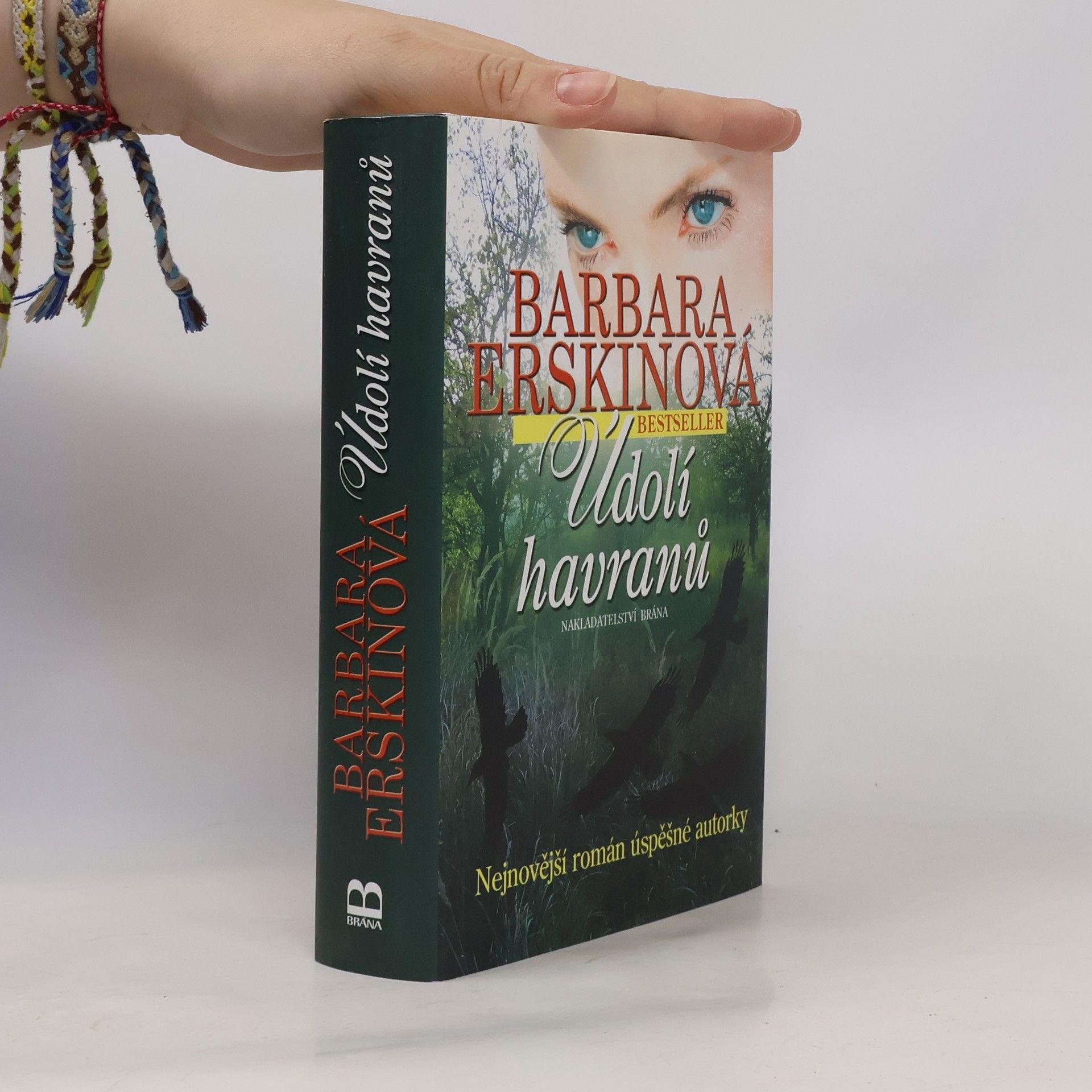 Barbara Erskinová Údolí havranů