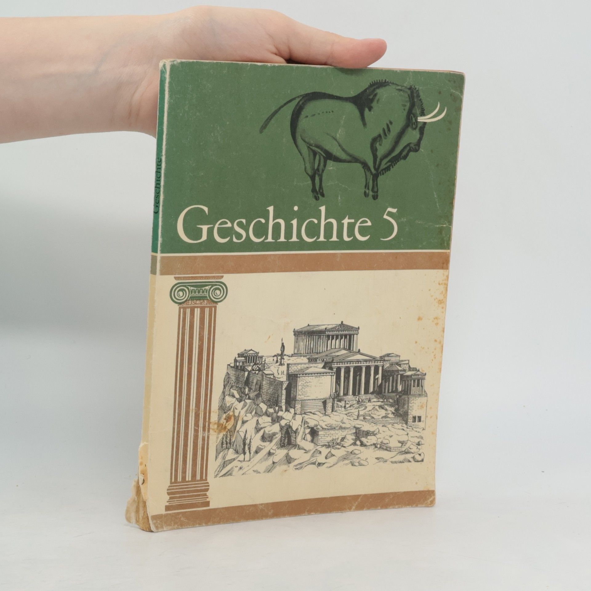 Kolektív autorov Geschichte 5