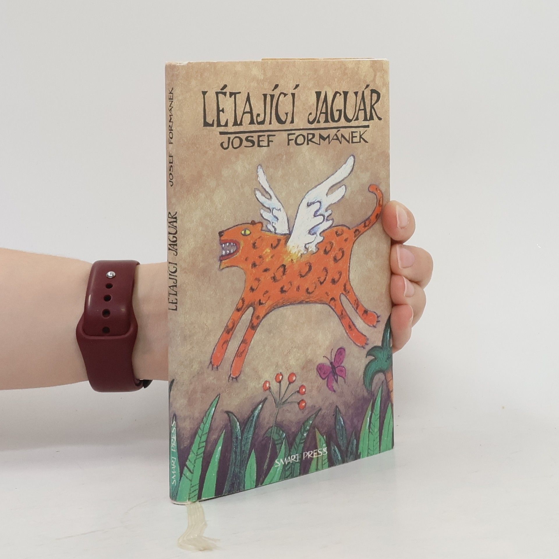 Létající jaguár