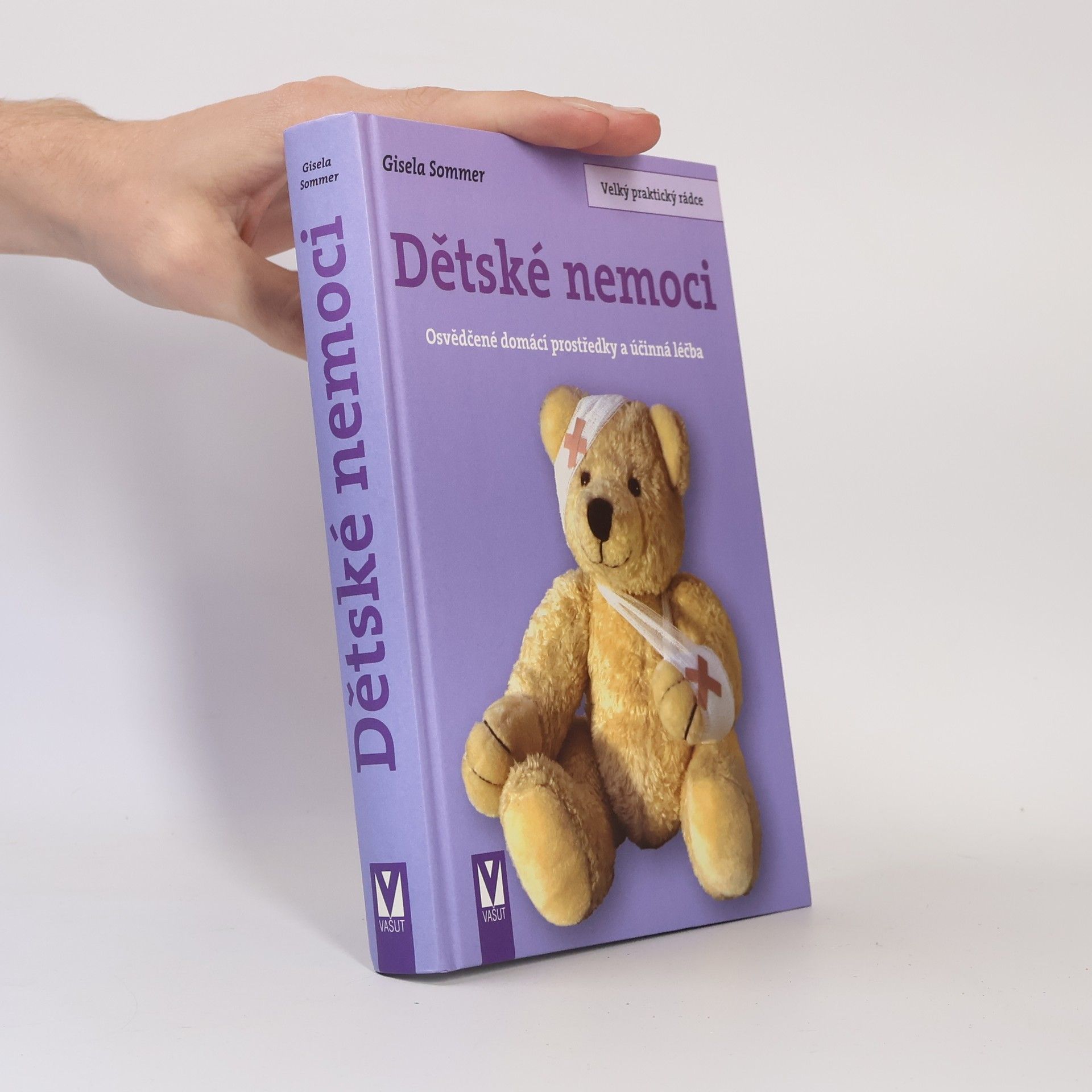 Gisela Sommer Dětské nemoci. Osvědčené domácí prostředky a účinná léčba