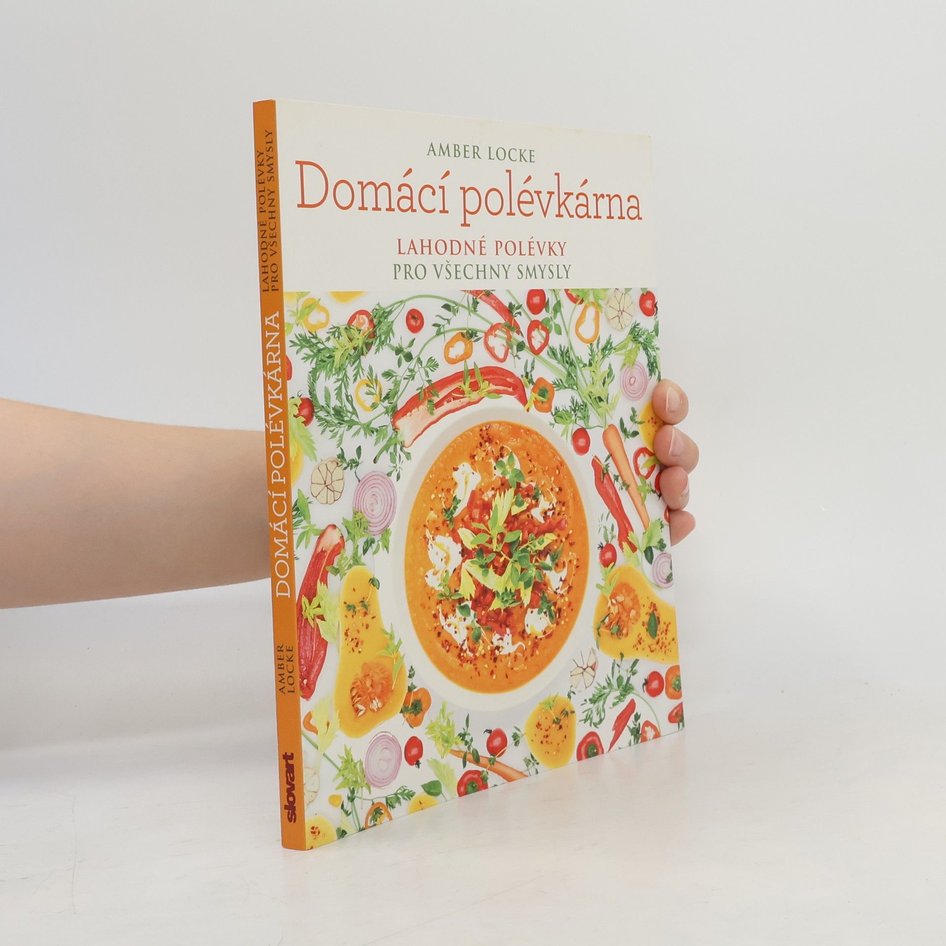Amber Locke Domácí polévkárna - Lahodné polévky pro všechny smysly