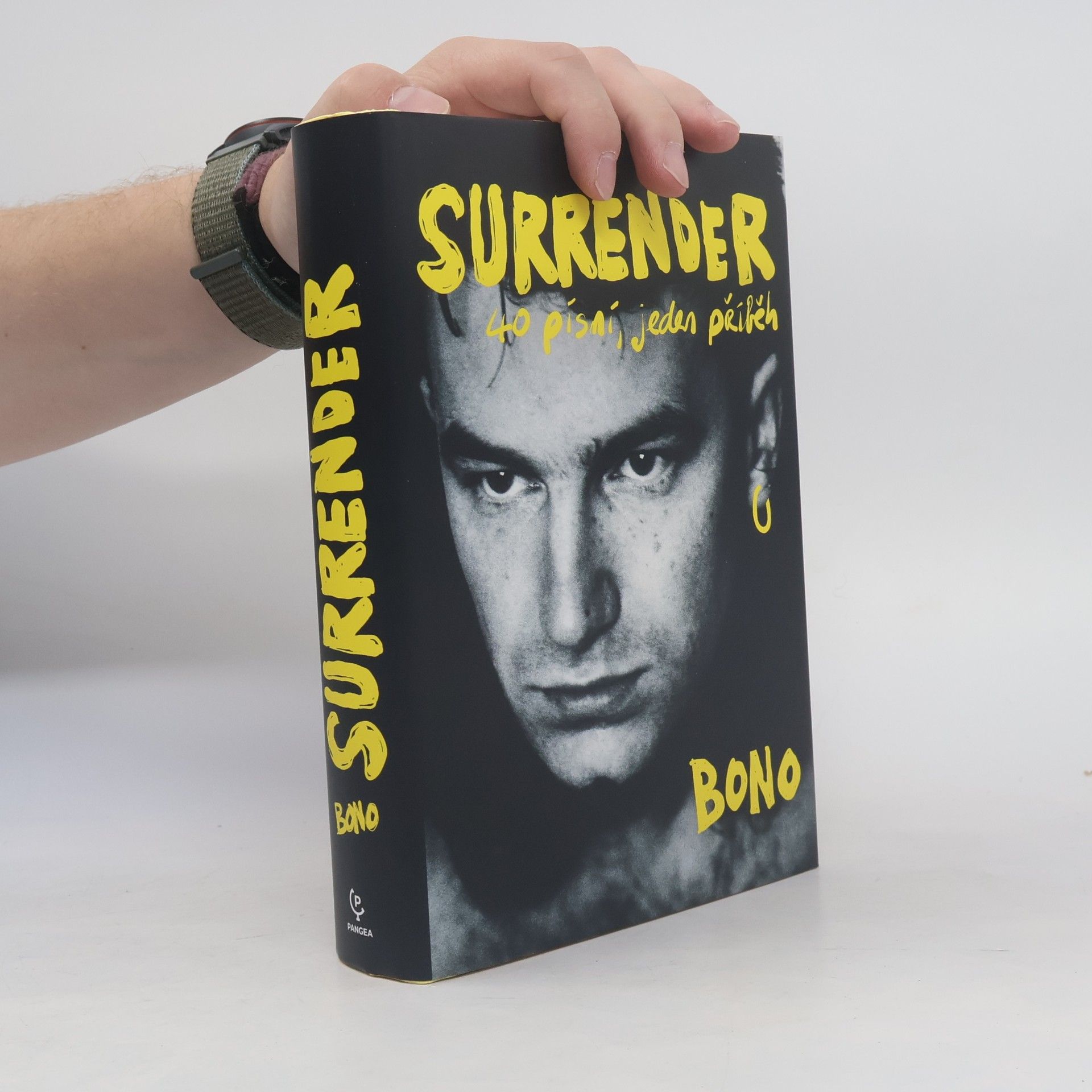 Bono Surrender : 40 písní, jeden příběh