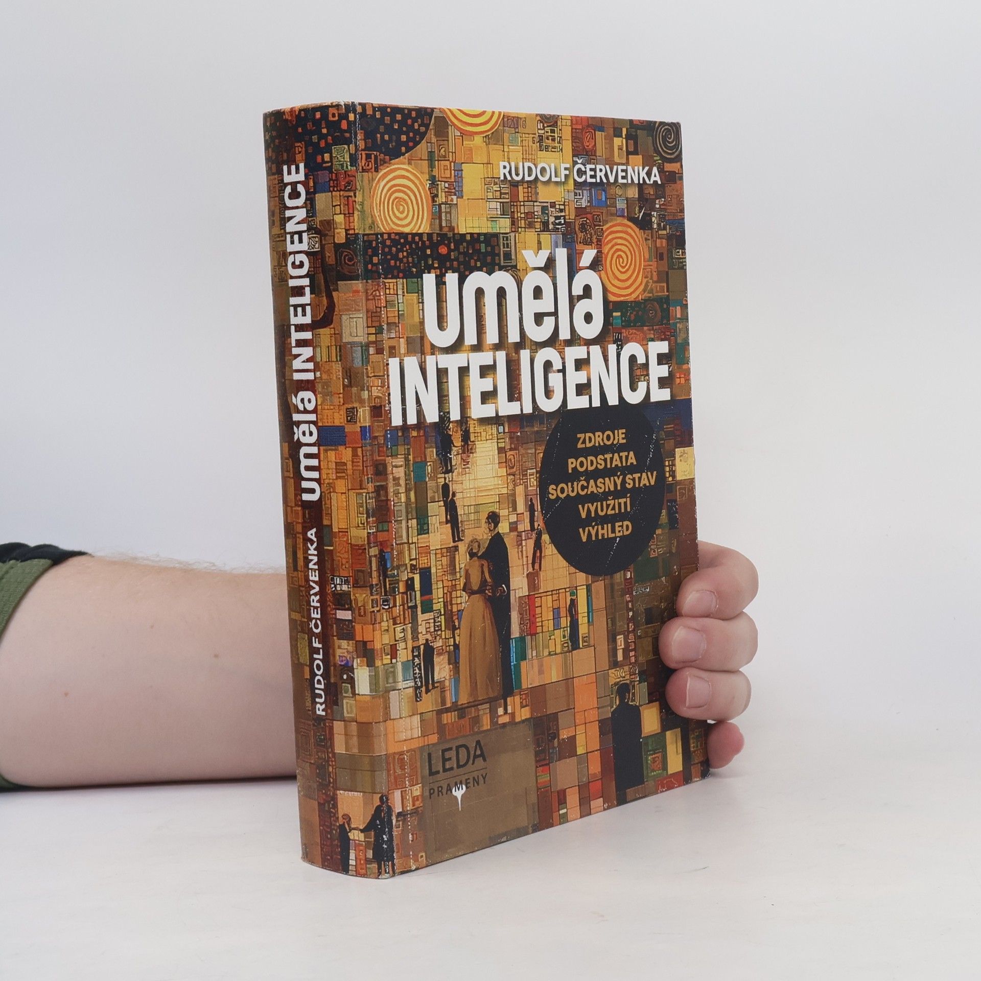 Rudolf Červenka Umělá inteligence