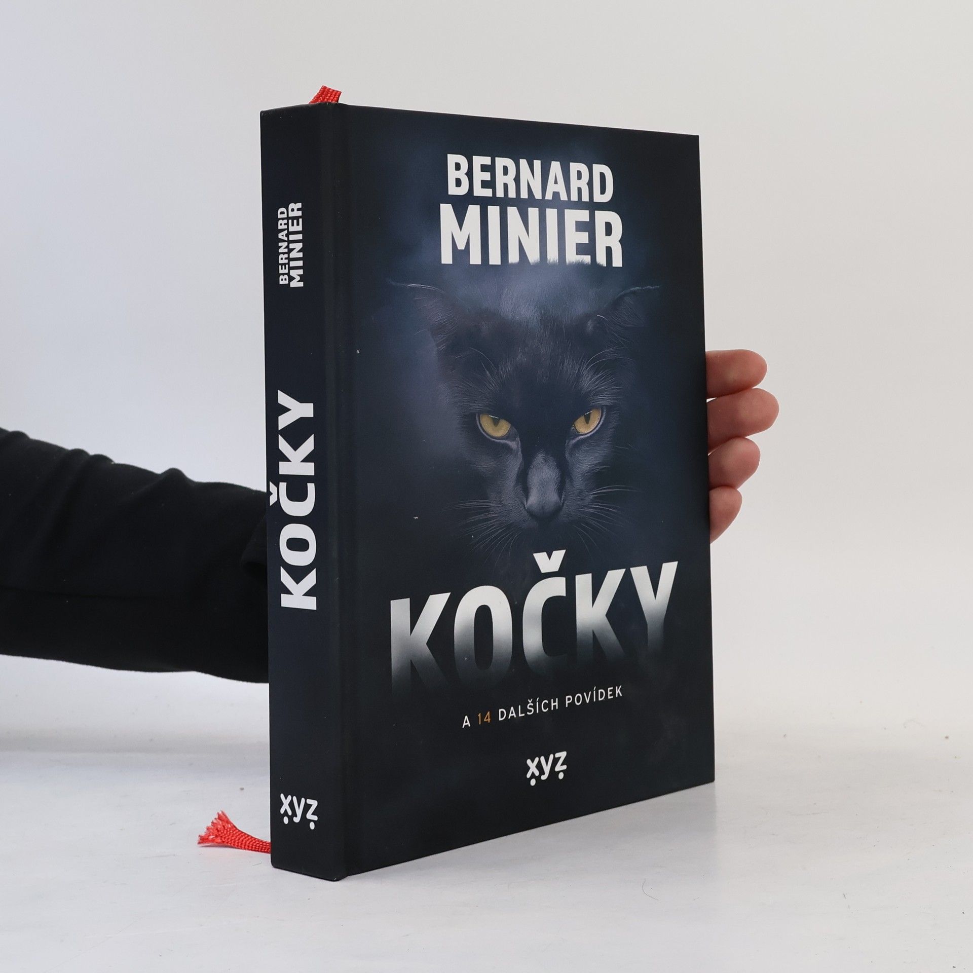 Bernard Minier Kočky