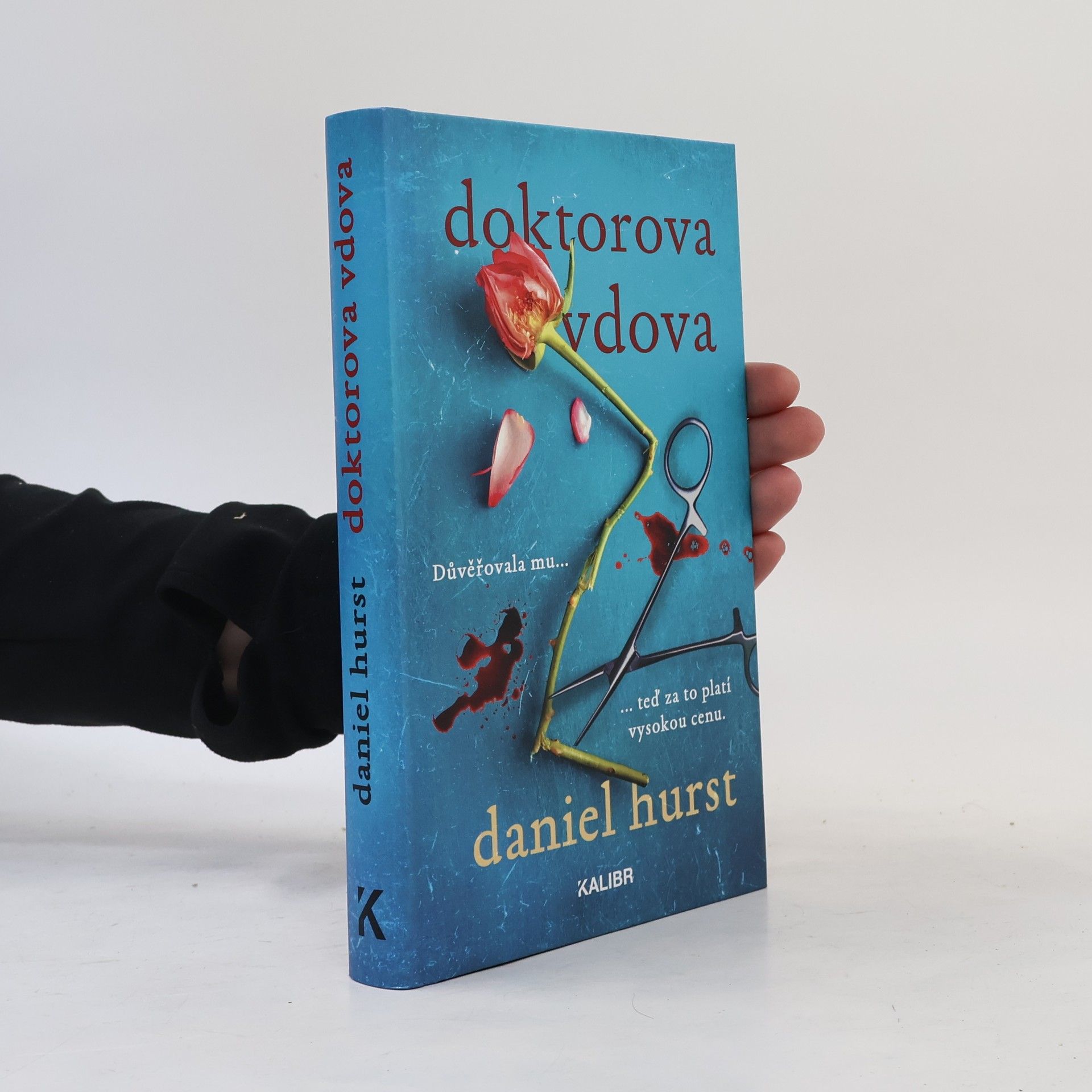 Daniel Hürst Doktorova vdova