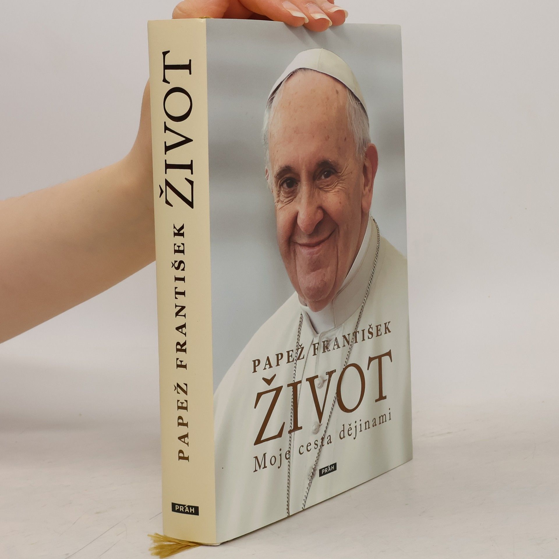 Papst Franziskus Život. Moje cesta dějinami