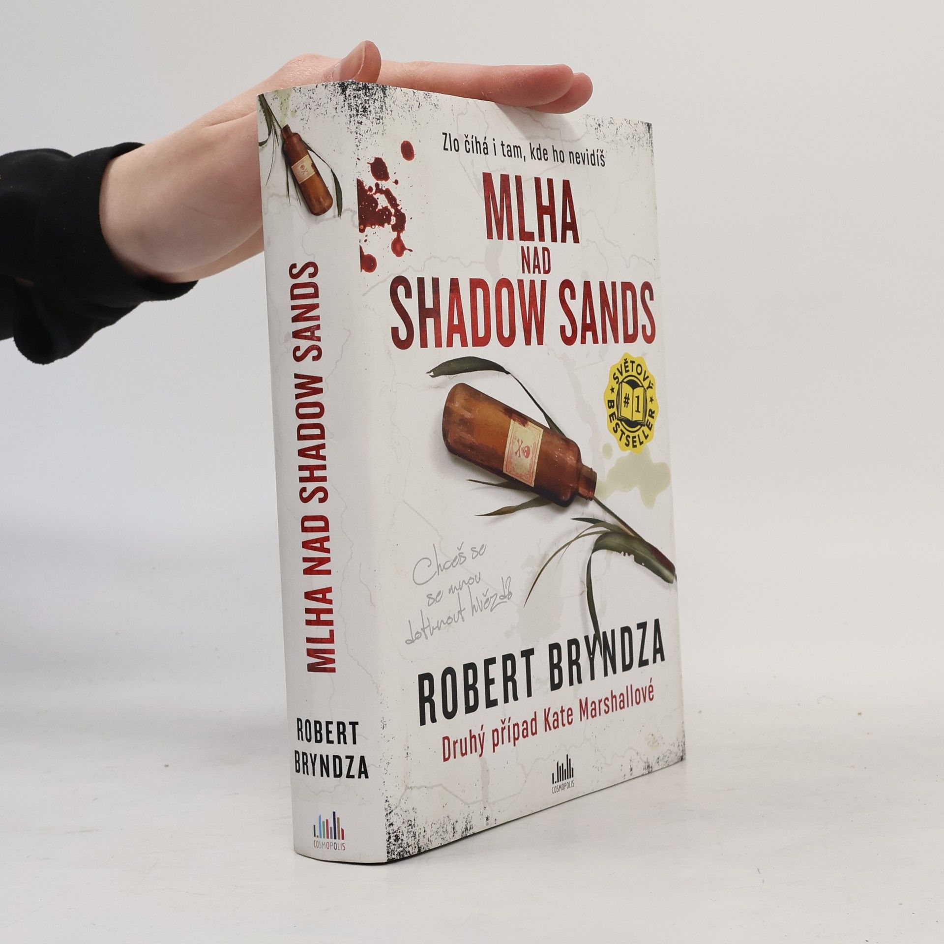 Robert Bryndza Mlha nad Shadow Sands