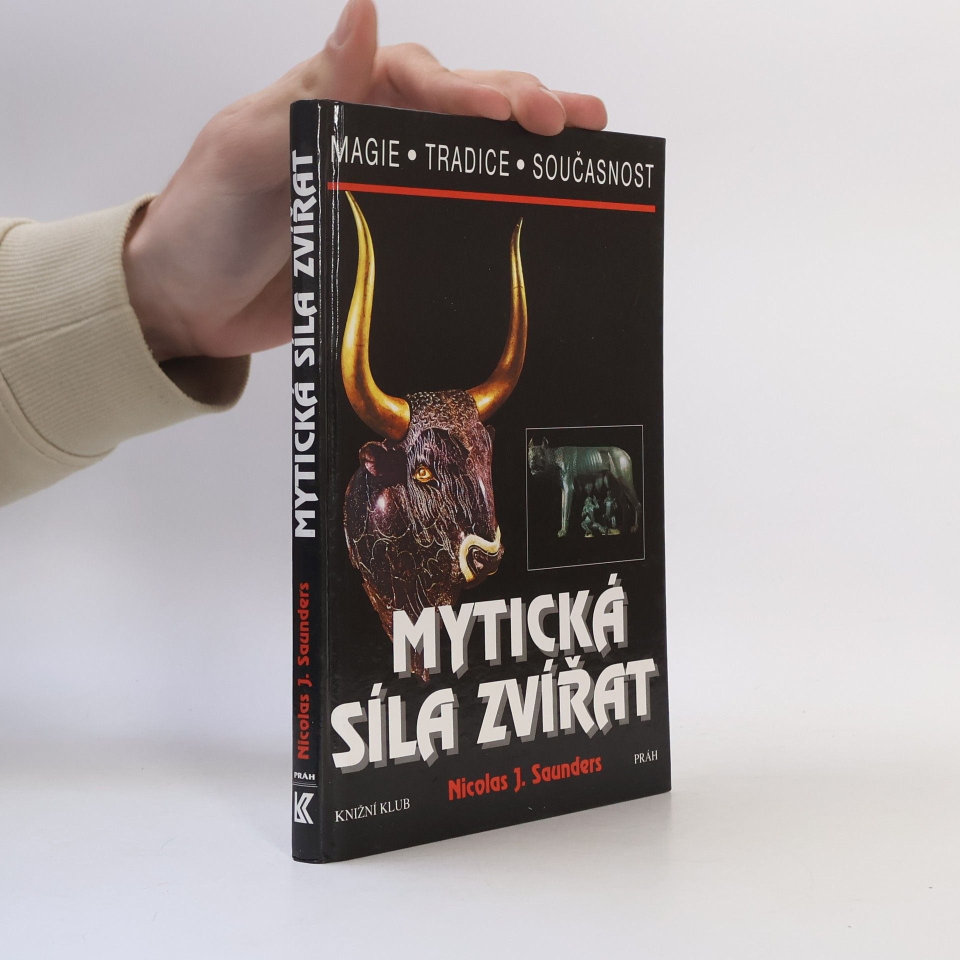 Nicholas J. Saunders Mytická síla zvířat