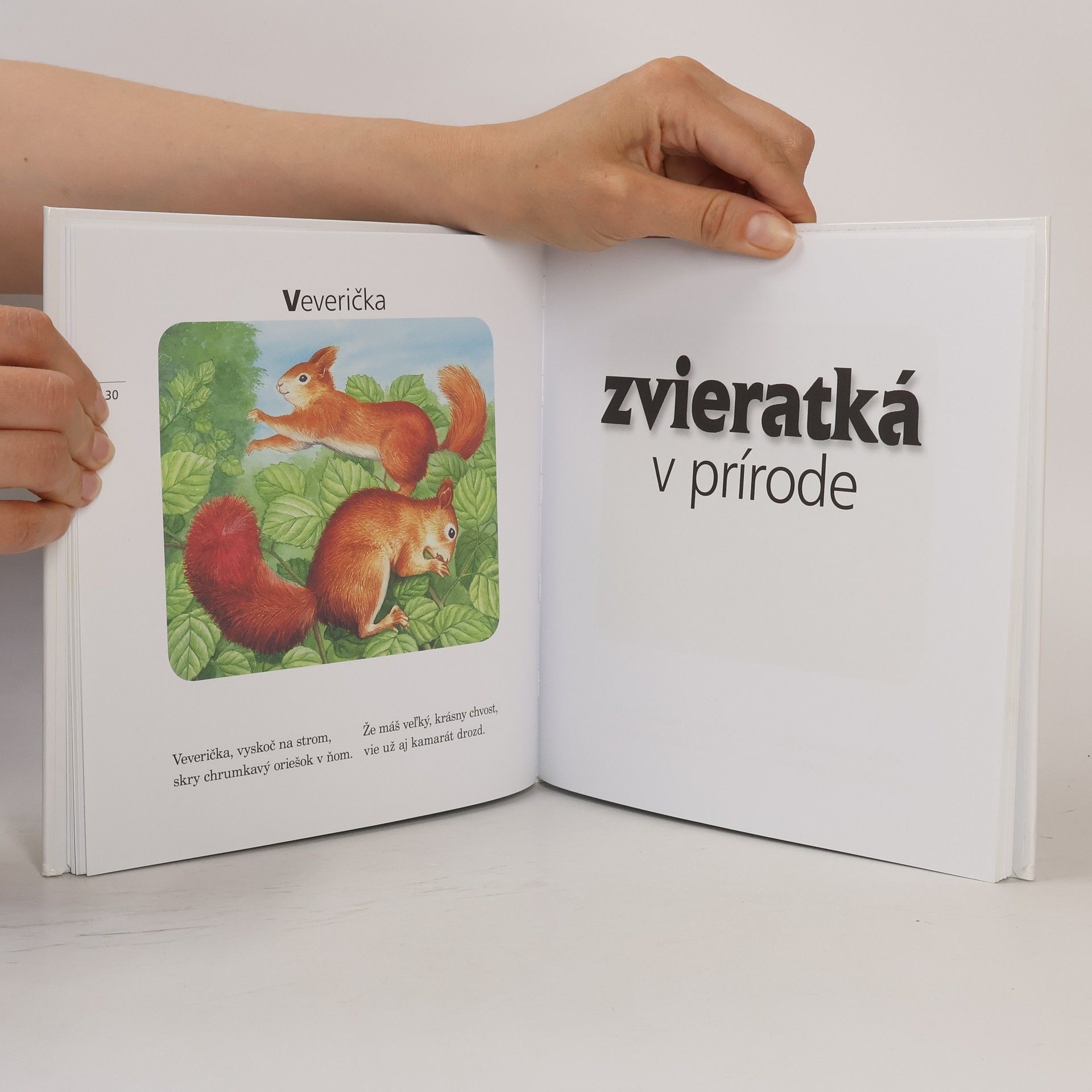 Ivet Dalmády Kamaráti zvieratká