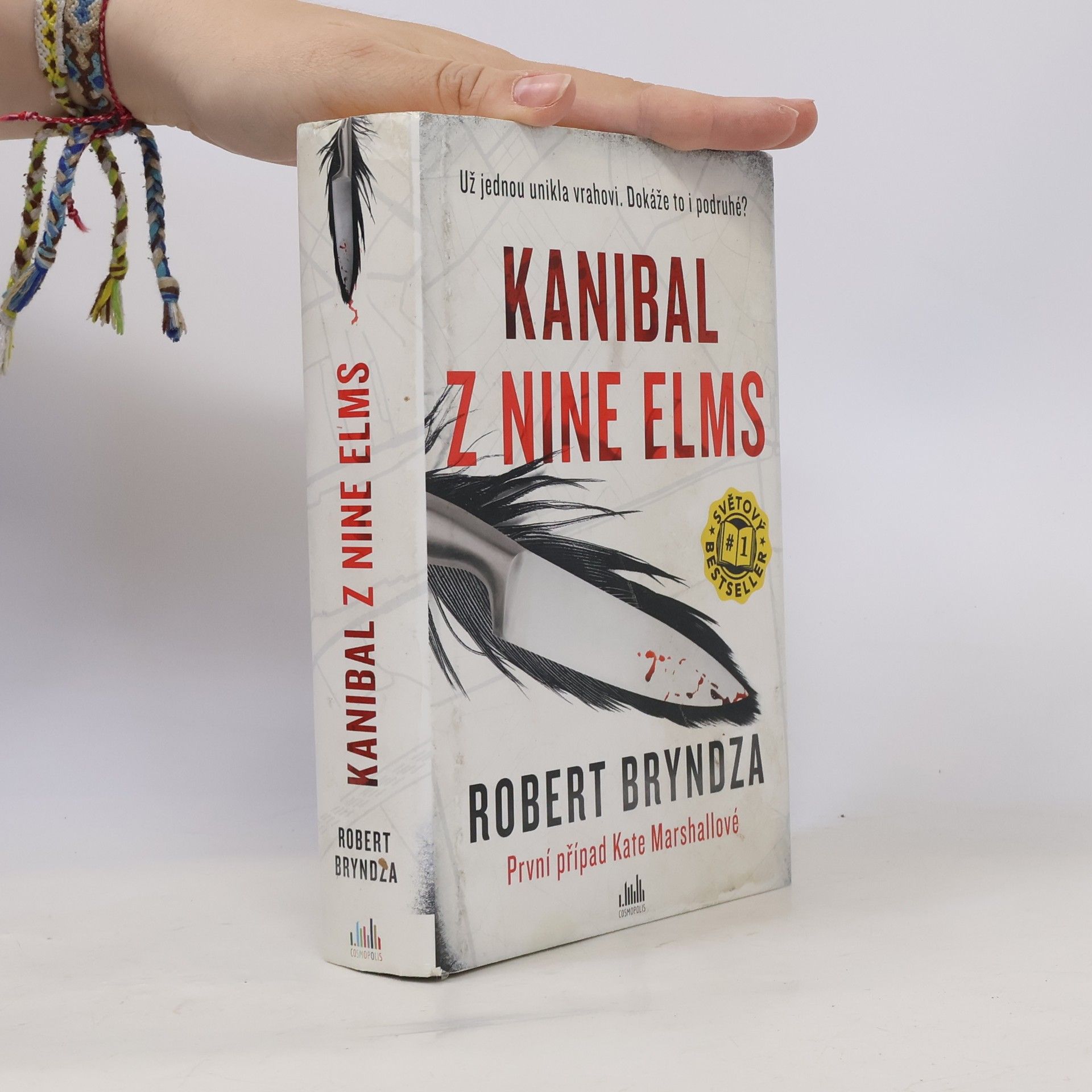 Robert Bryndza Kanibal z Nine Elms