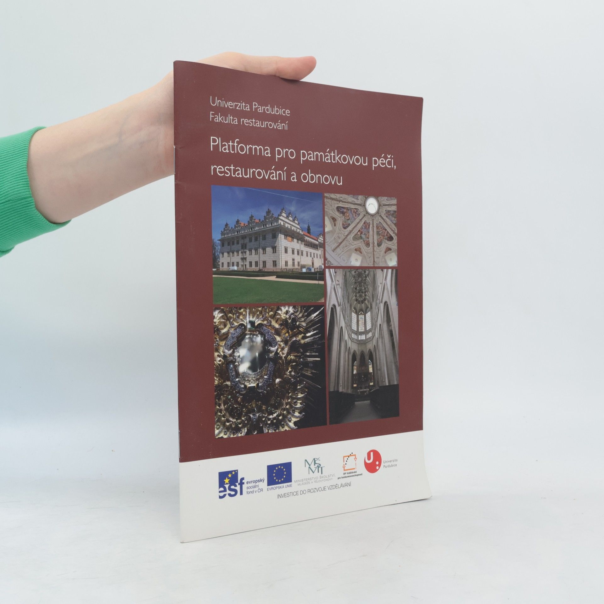 Various authors Platforma pro památkovou péči, restaurování a obnovu