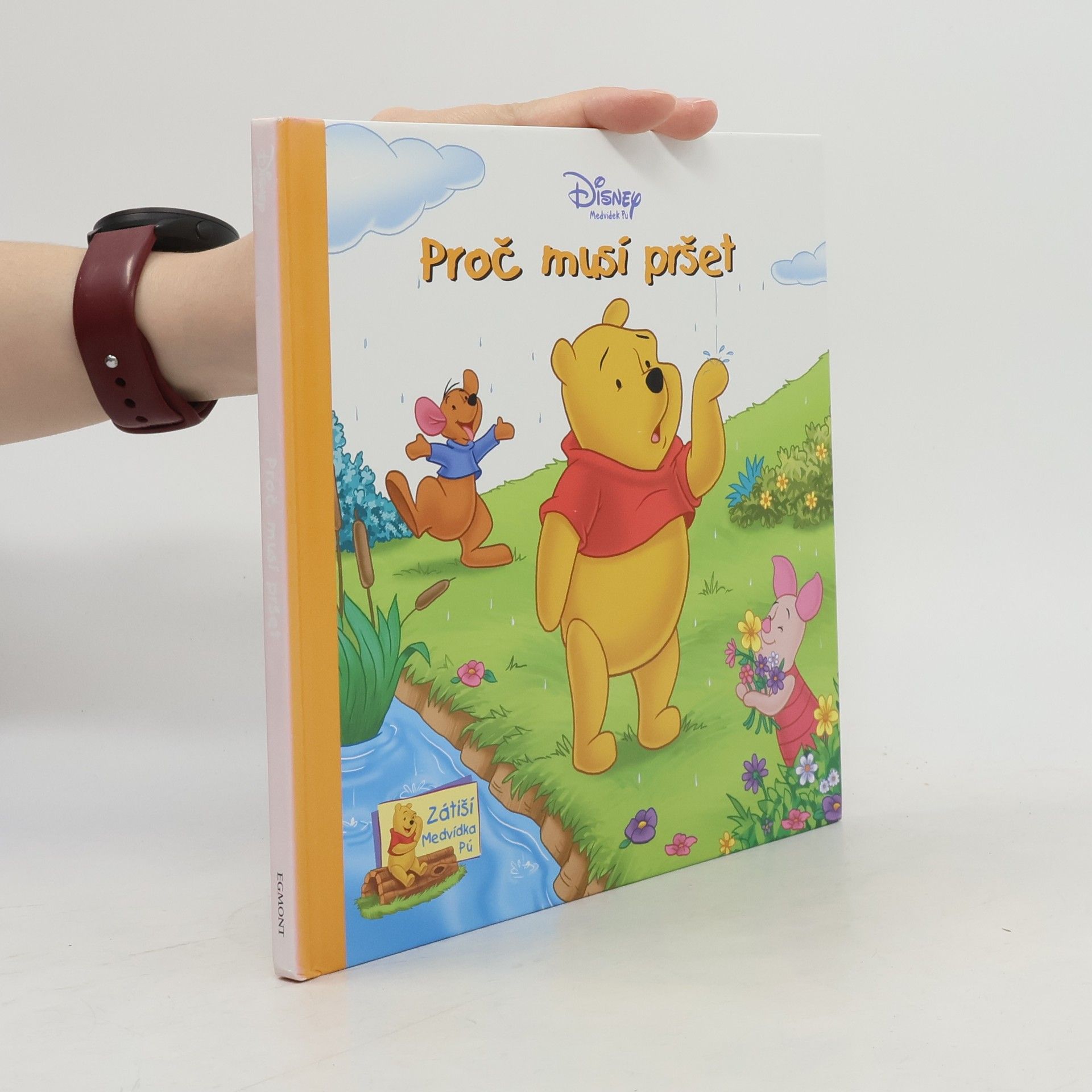 Walt Disney Medvídek Pú - Proč musí pršet