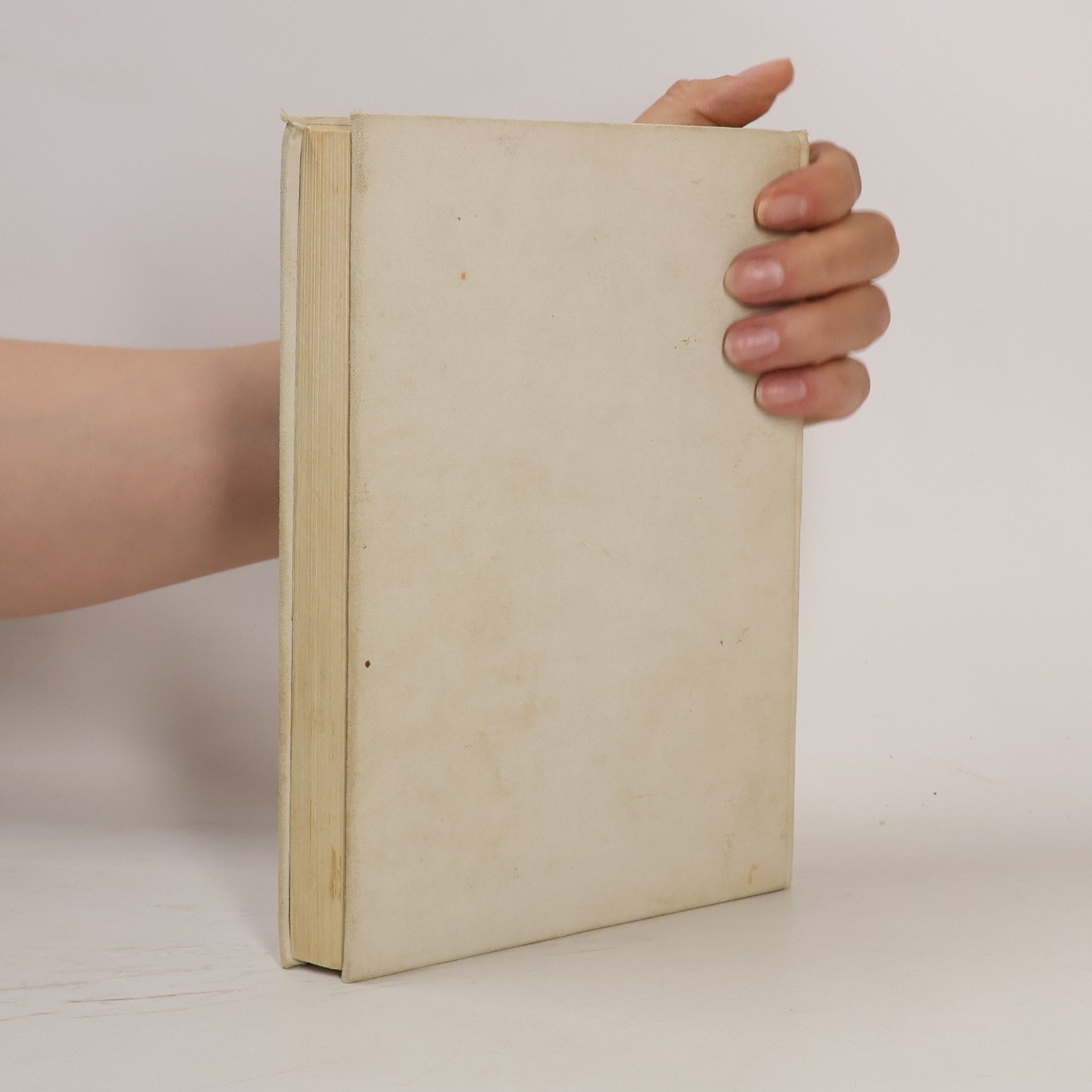 Mark Twain Princ a bedár