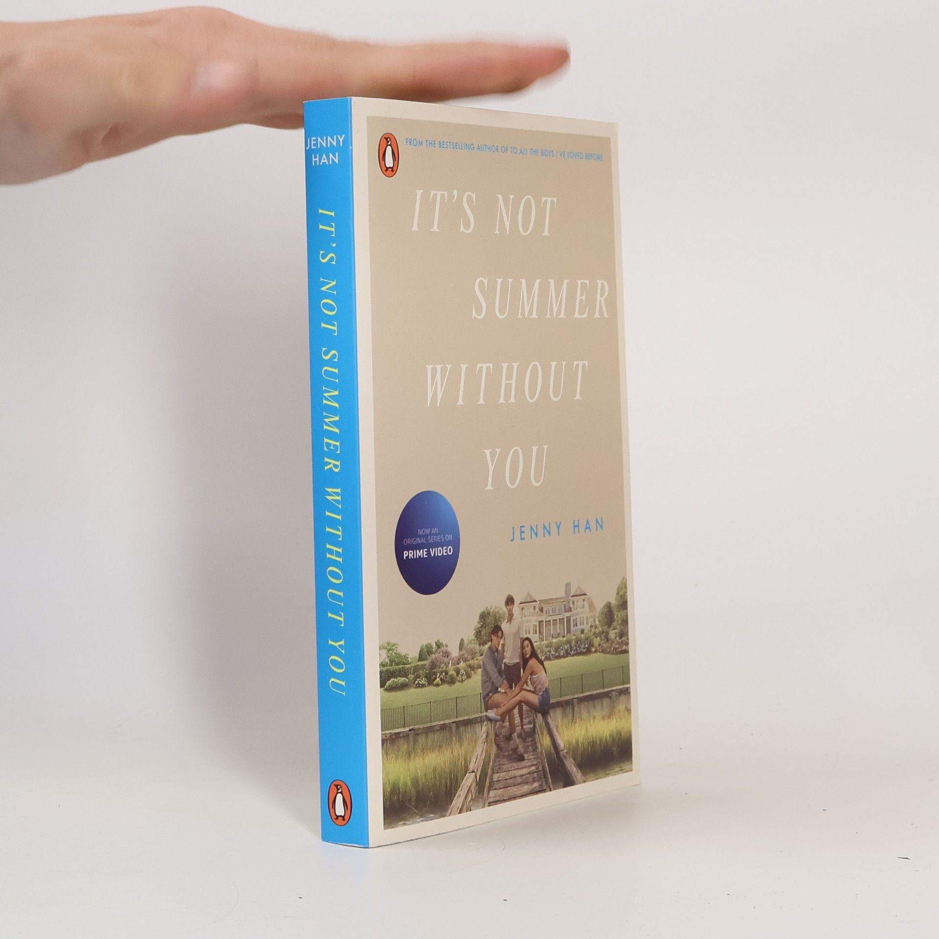 Jenny Han It's Not Summer Without You