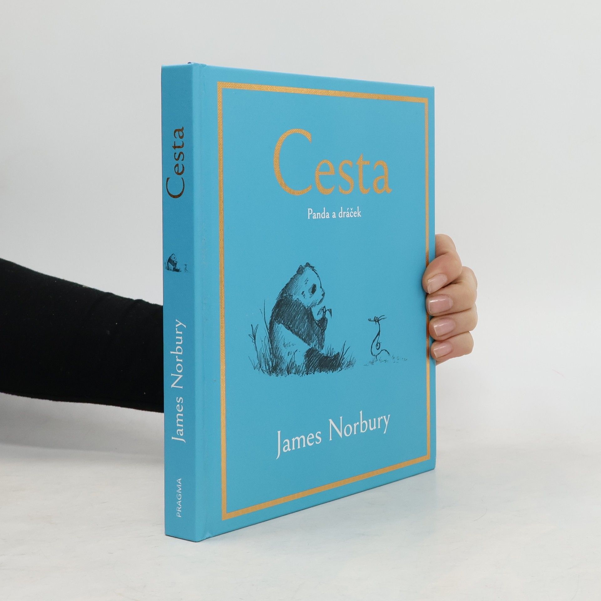 James Norbury Cesta. Panda a dráček