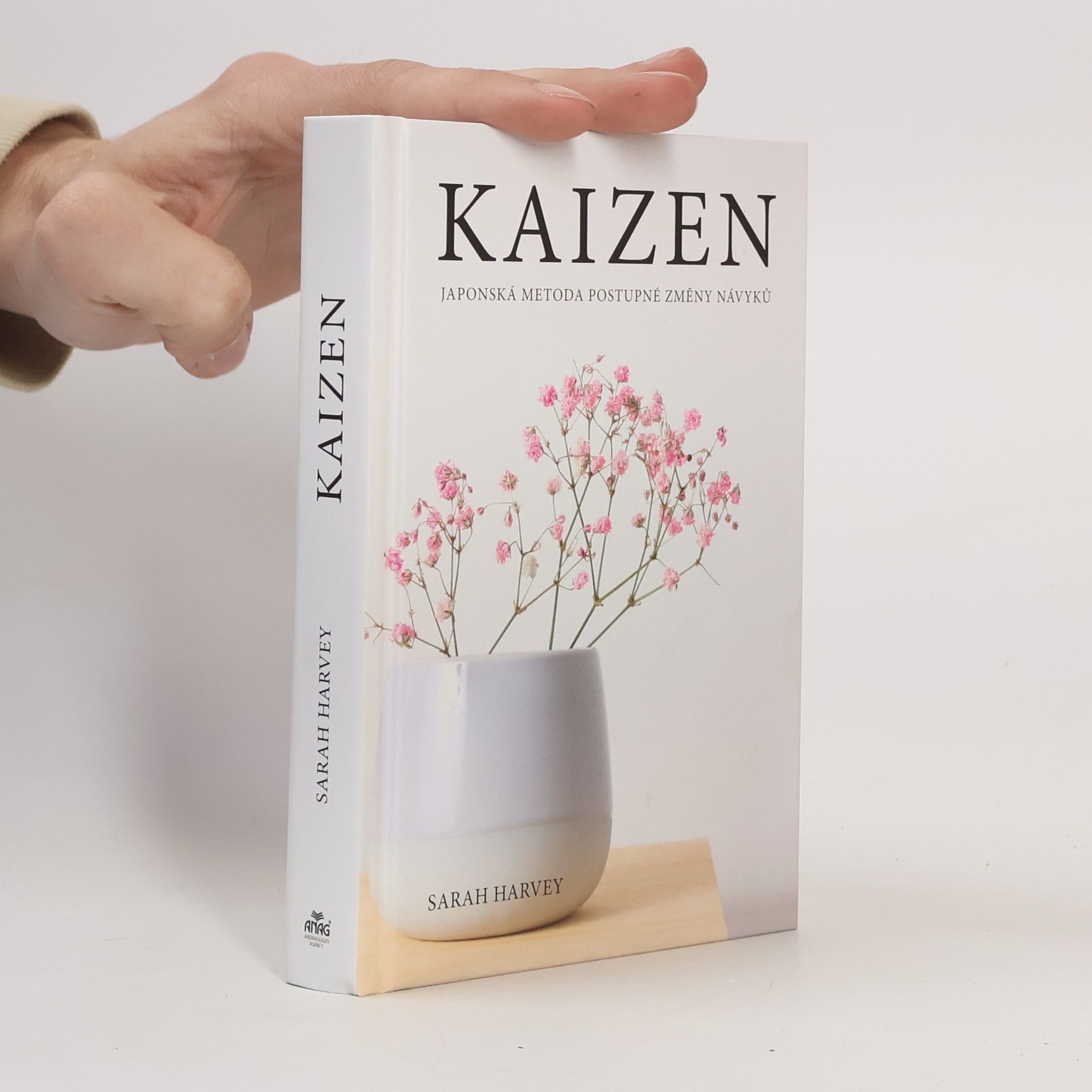 Sarah Harvey Kaizen: Japonská metoda postupné změny návyků