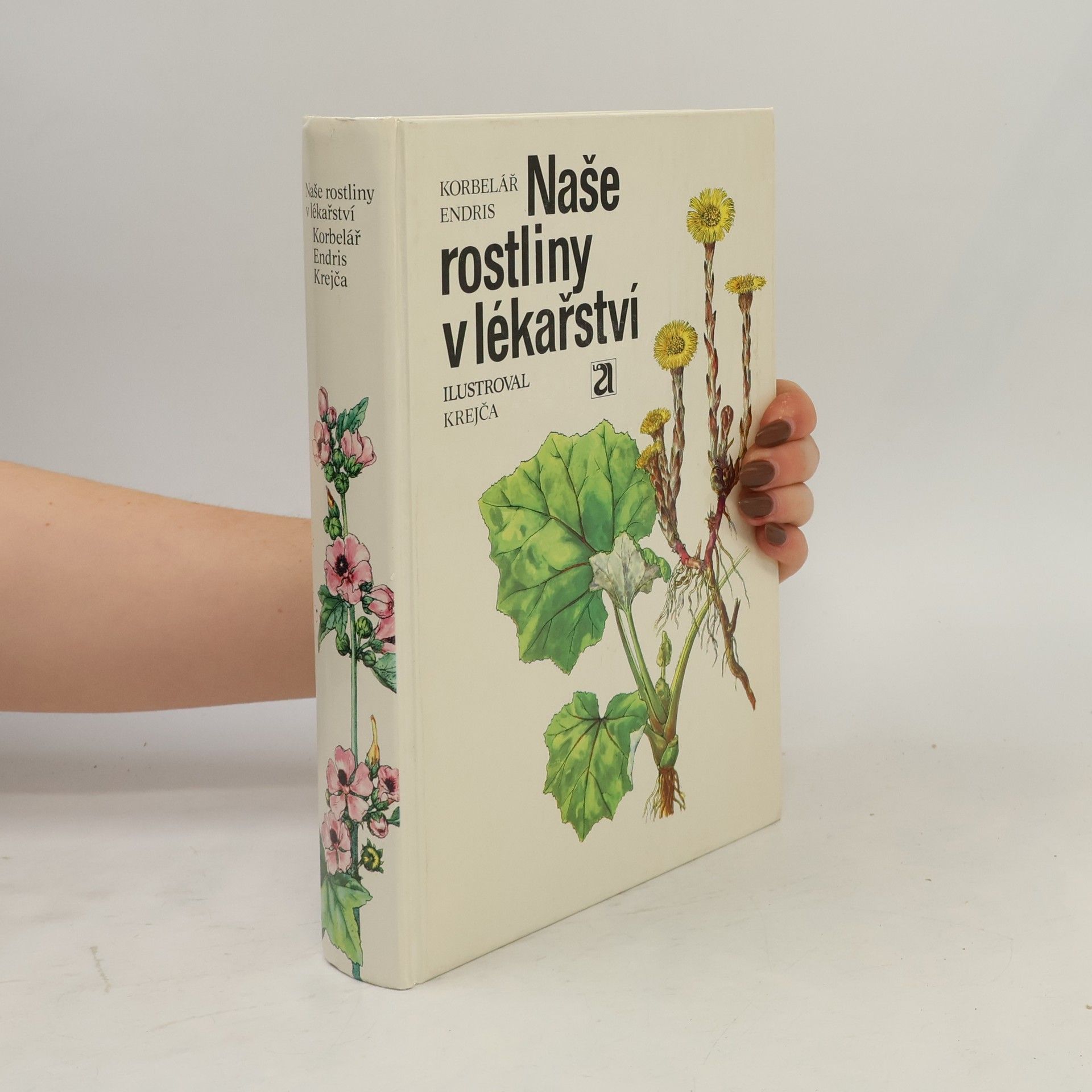 Jaroslav Korbelář Naše rostliny v lékařství