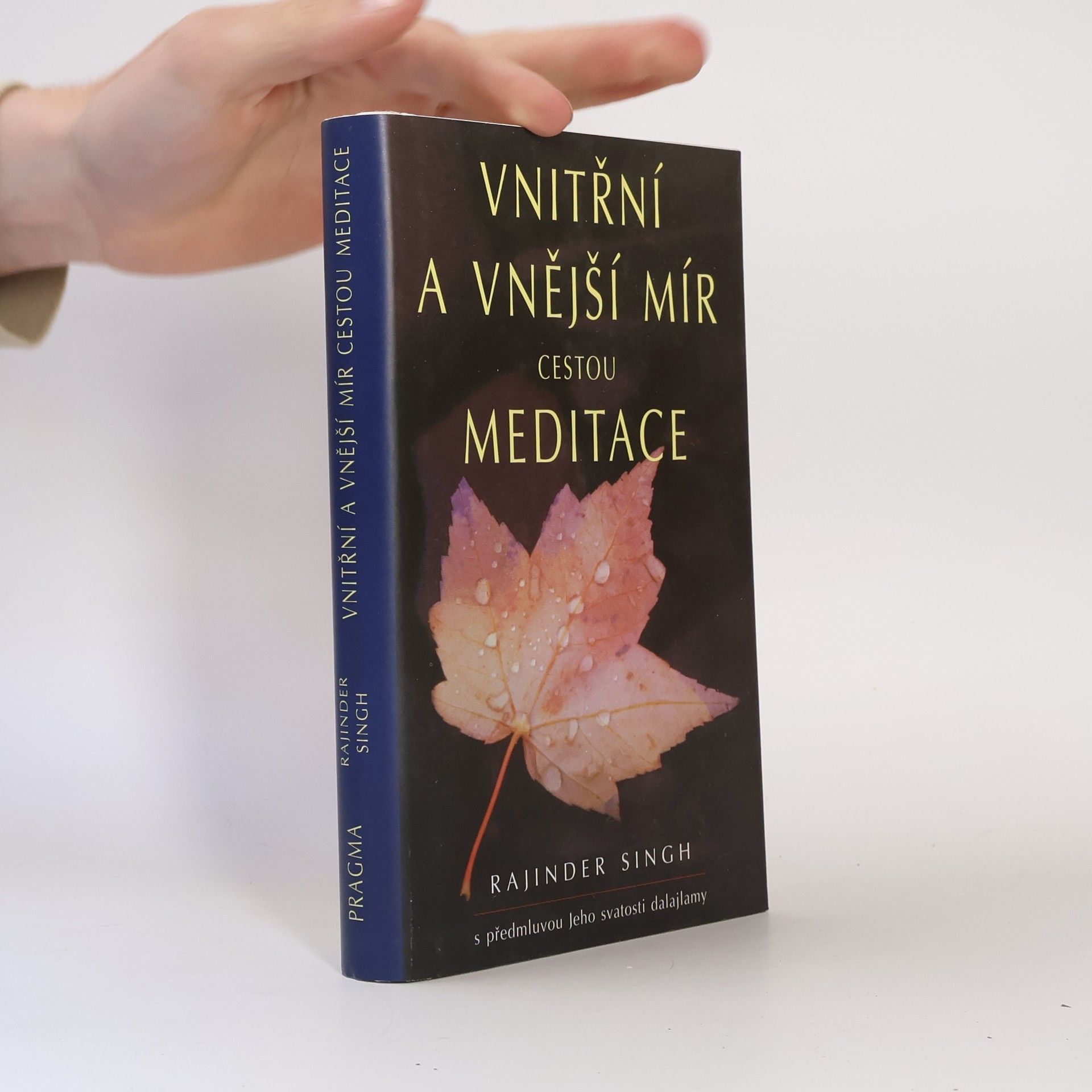 Rajinder Singh Vnitřní a vnější mír cestou meditace
