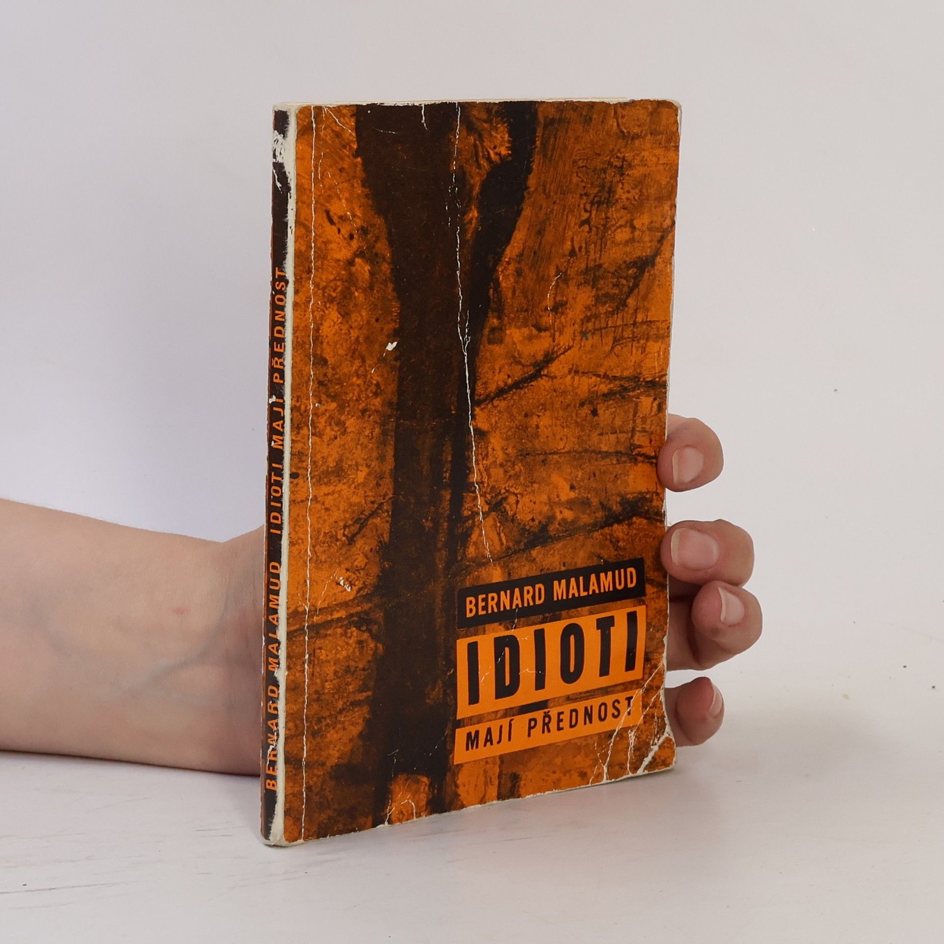 Bernard Malamud Idioti mají přednost