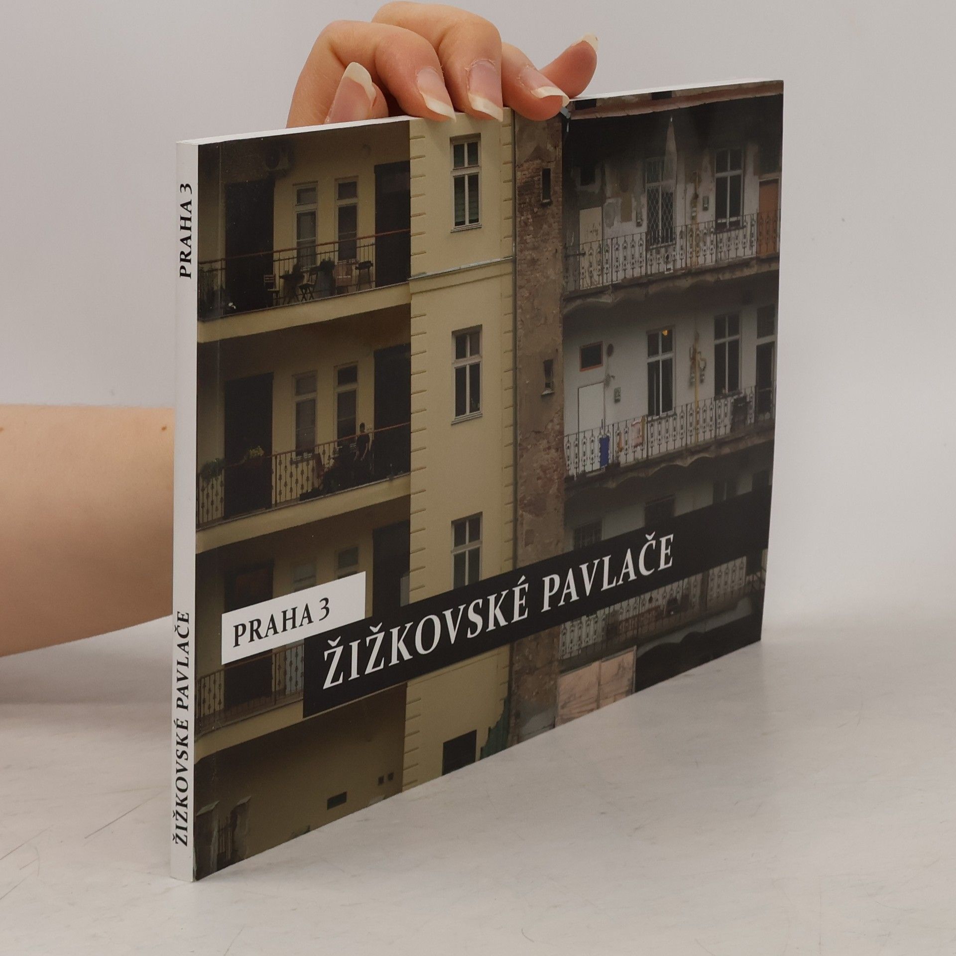 Rudo Prekop Žižkovské pavlače