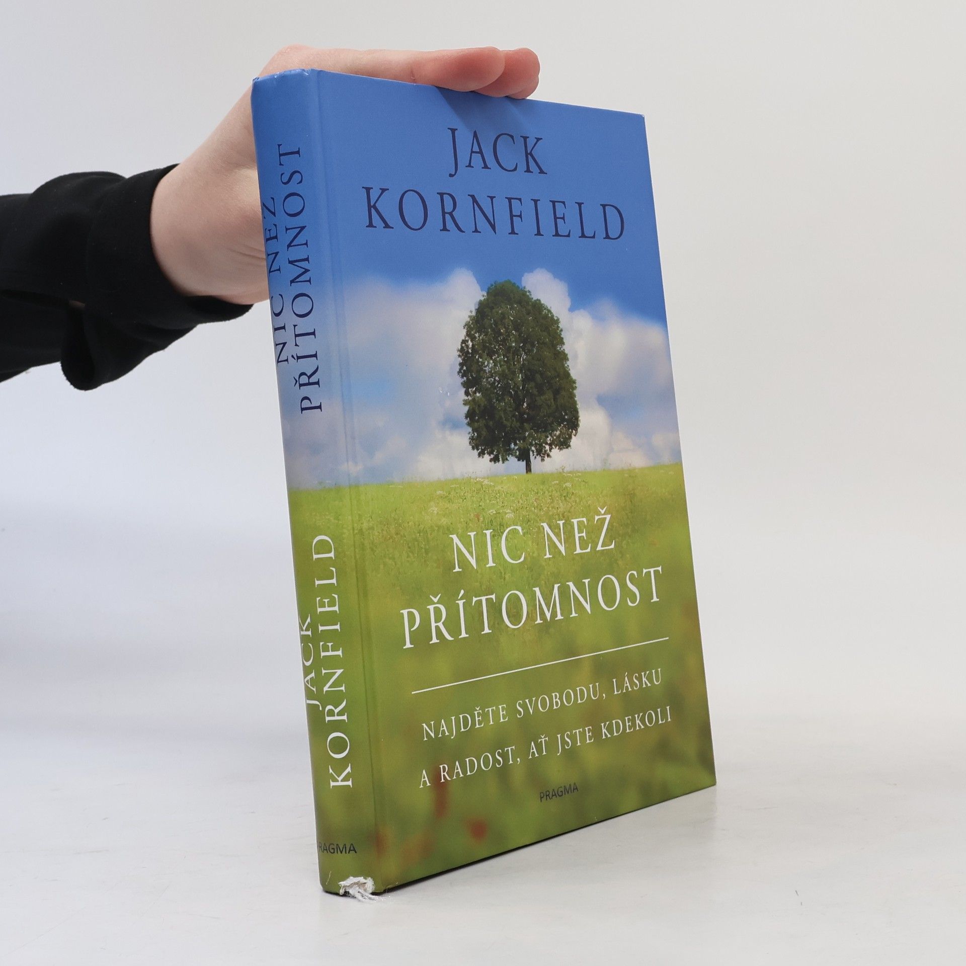 Jack Kornfield Nic než přítomnost