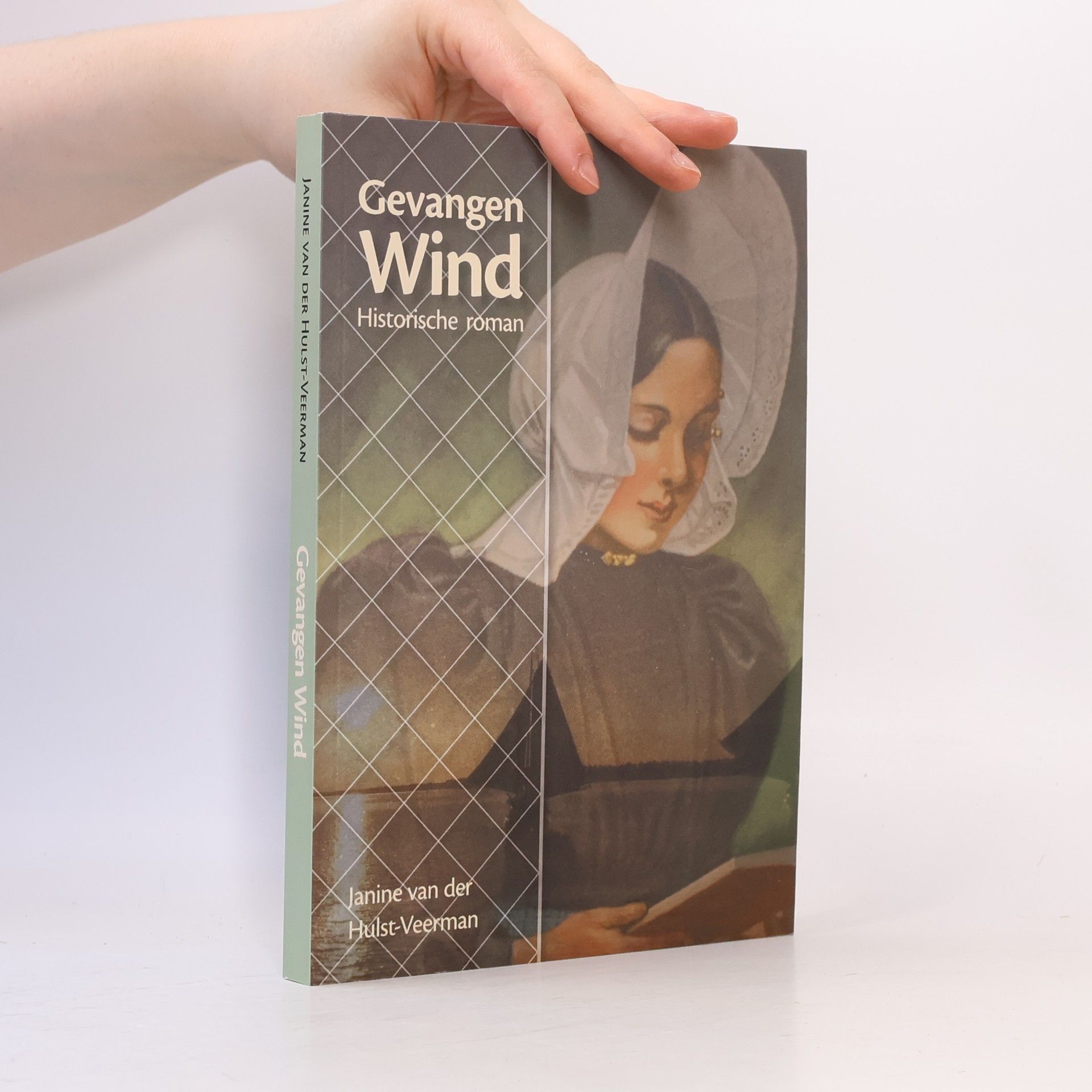 Janine van der Hulst-Veerman Gevangen wind
