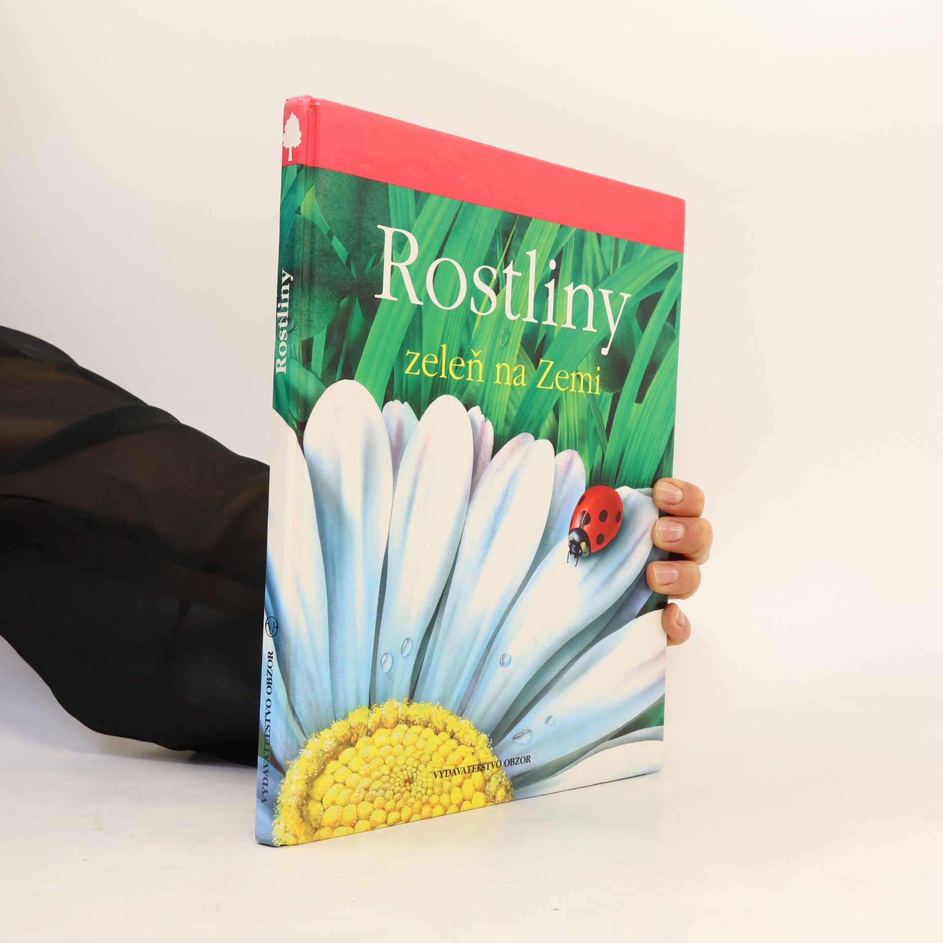 Lucia Benedittiová Rostliny. Zeleň na zemi