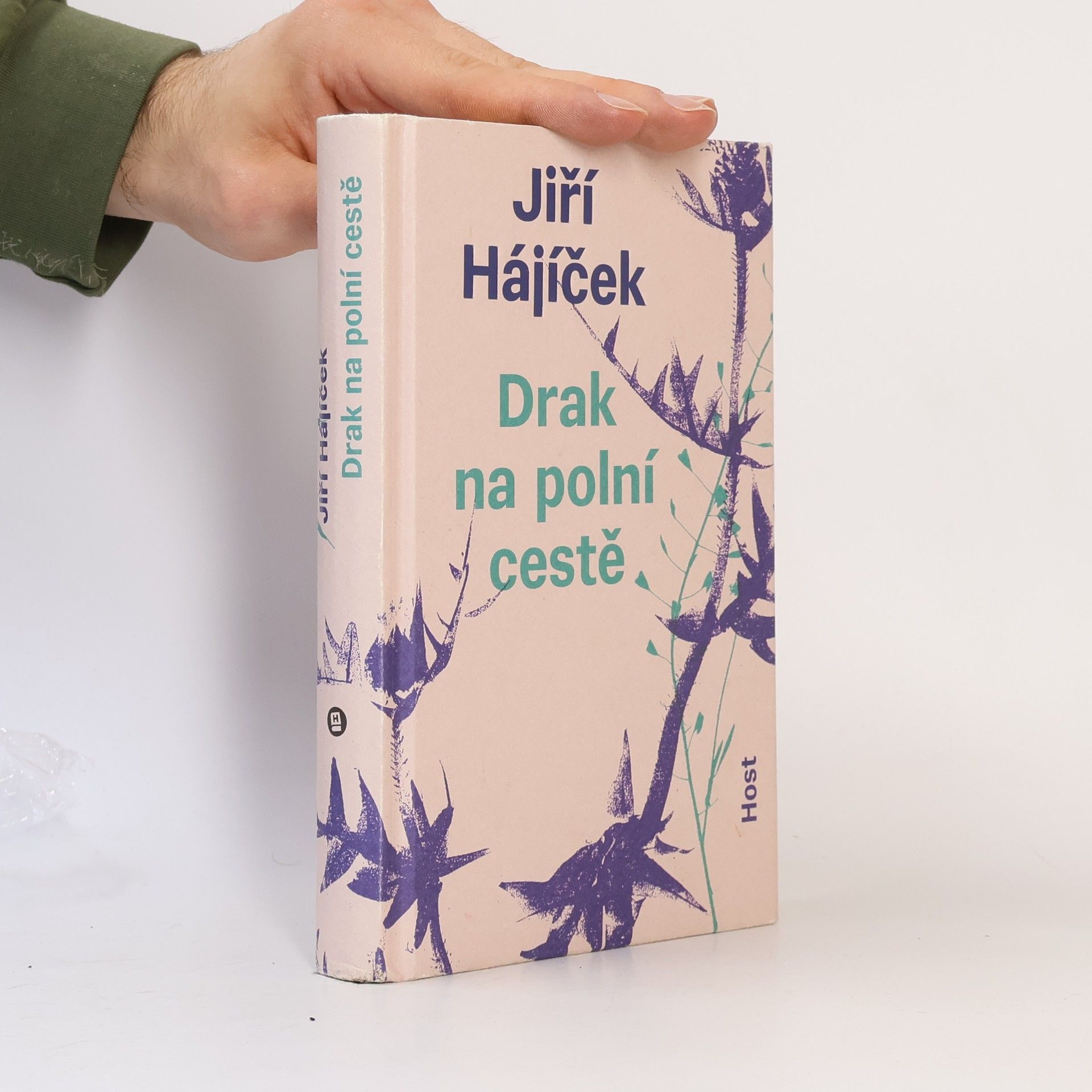 Jiří Hájíček Drak na polní cestě
