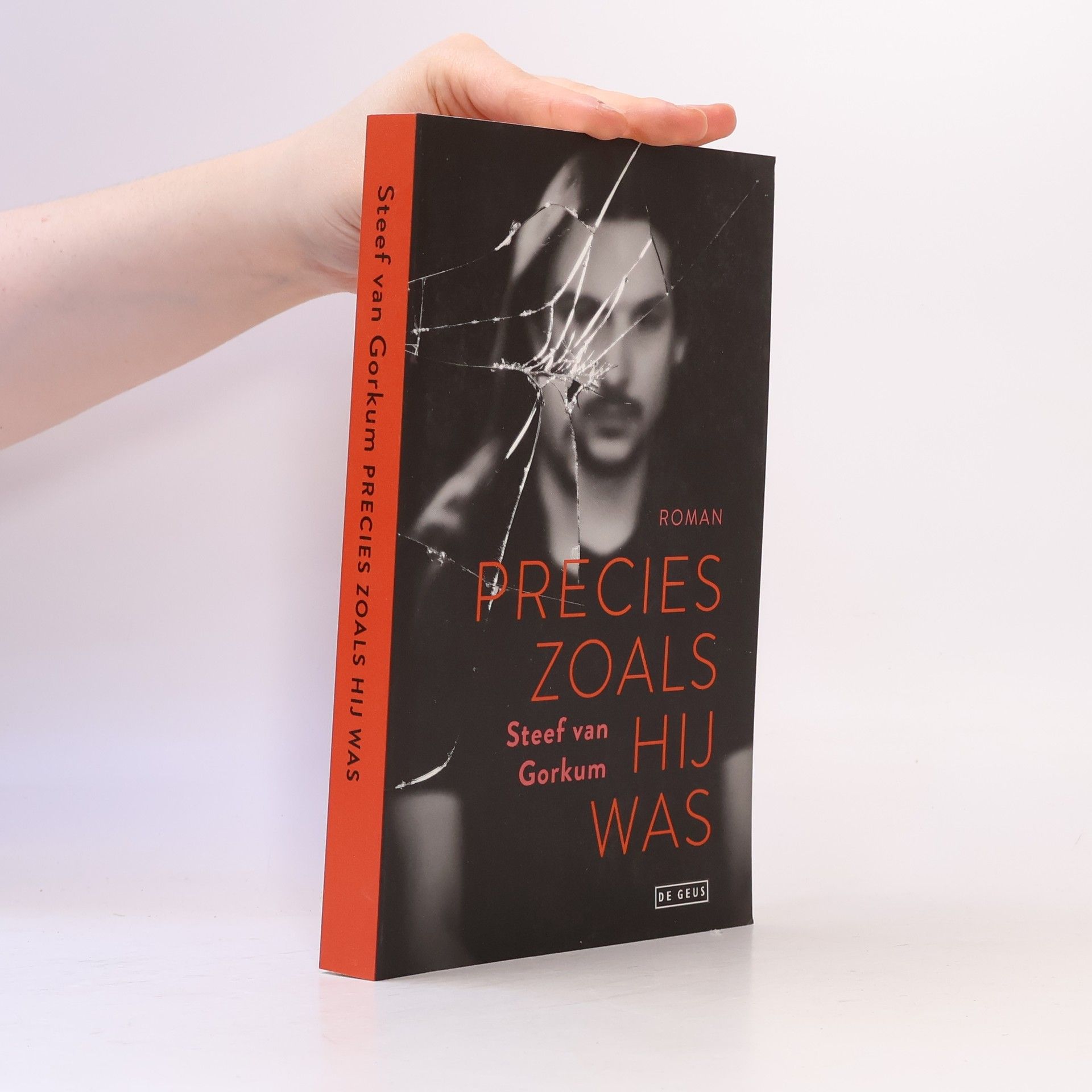 Steef van Gorkum Precies zoals hij was