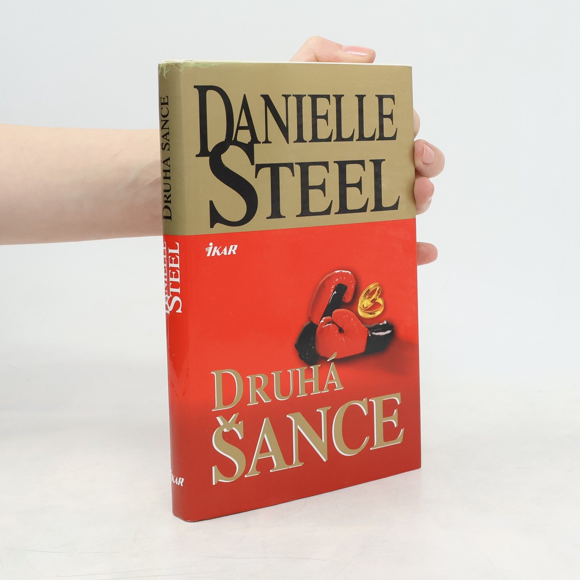 Danielle Steel Druhá šance