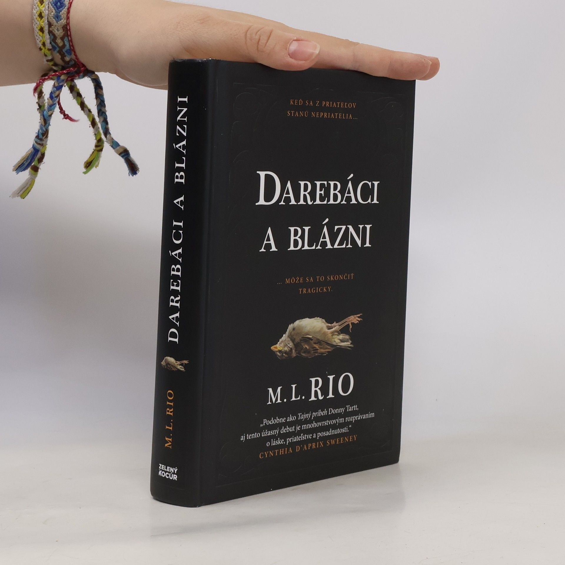 M. L. Rio Darebáci a blázni