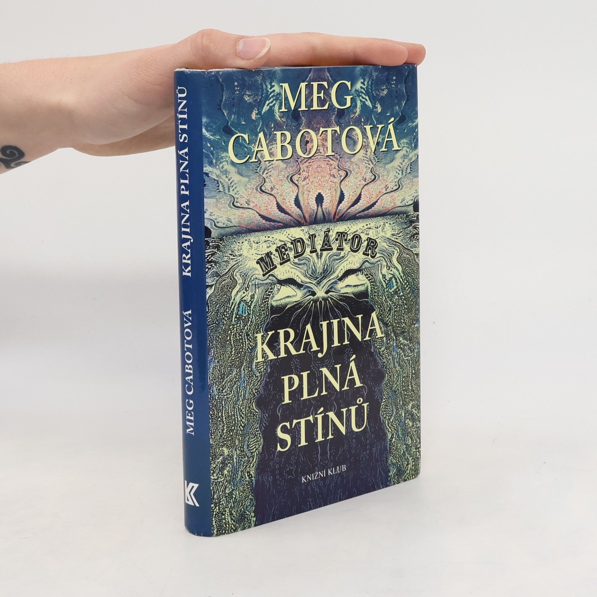 Krajina plná stínů. Mediátor 1