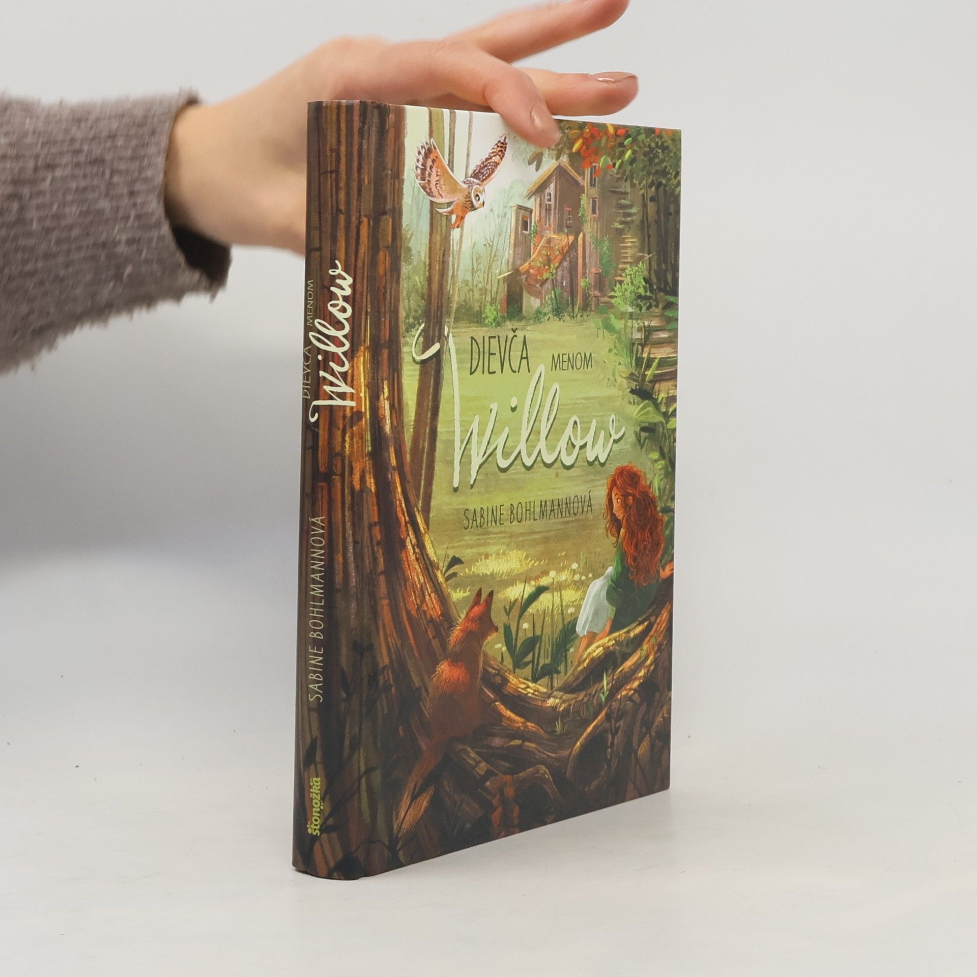 Sabine Bohlmann Dievča menom Willow