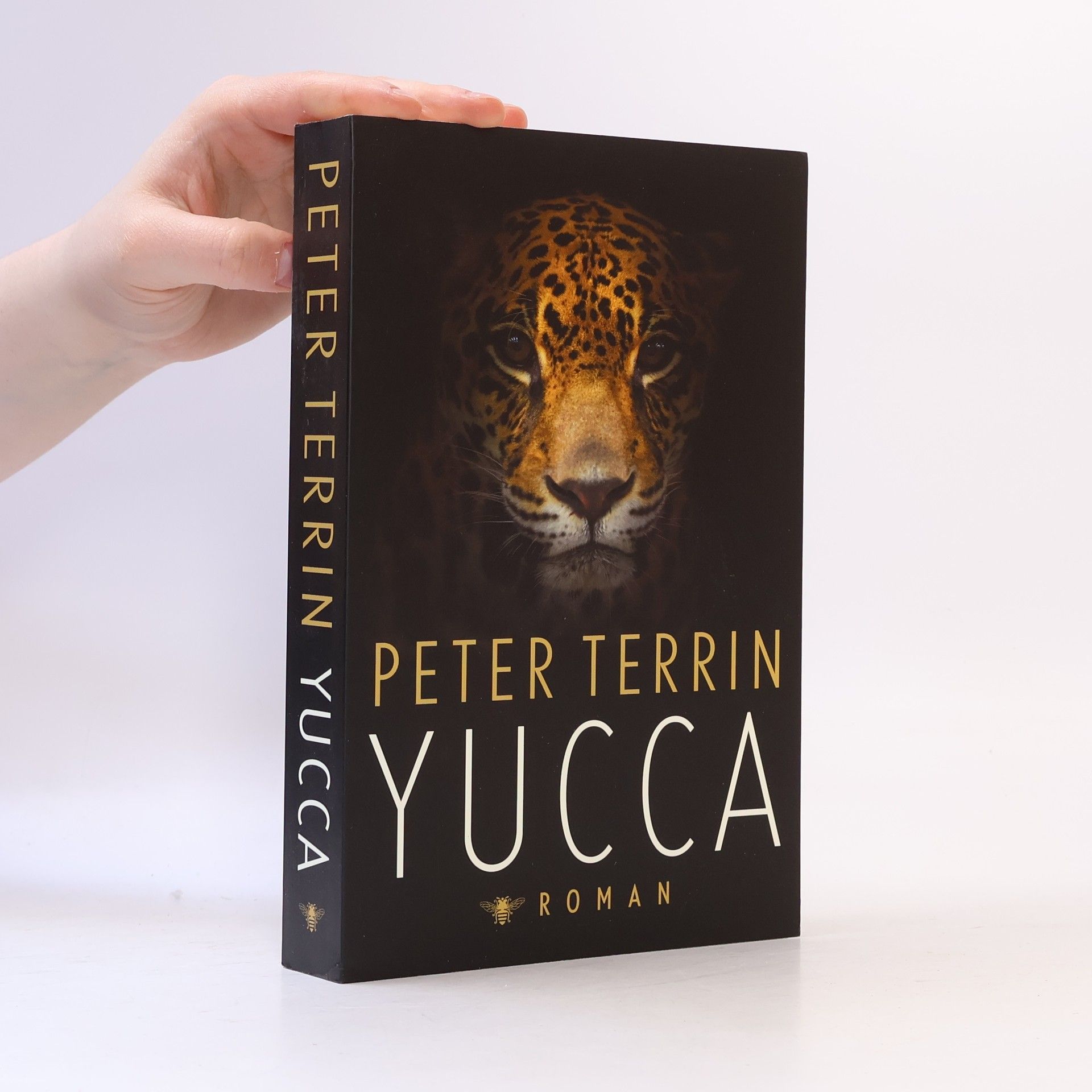 Peter Terrin Yucca