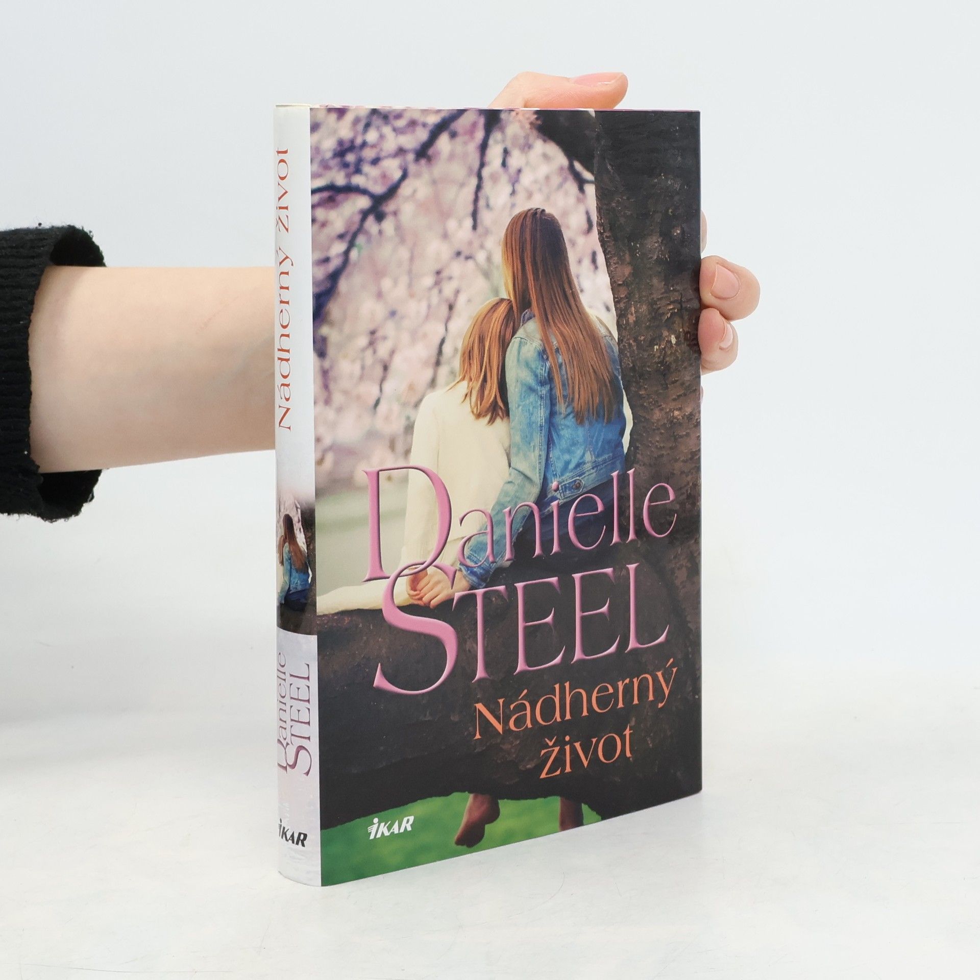 Danielle Steelová Nádherný život